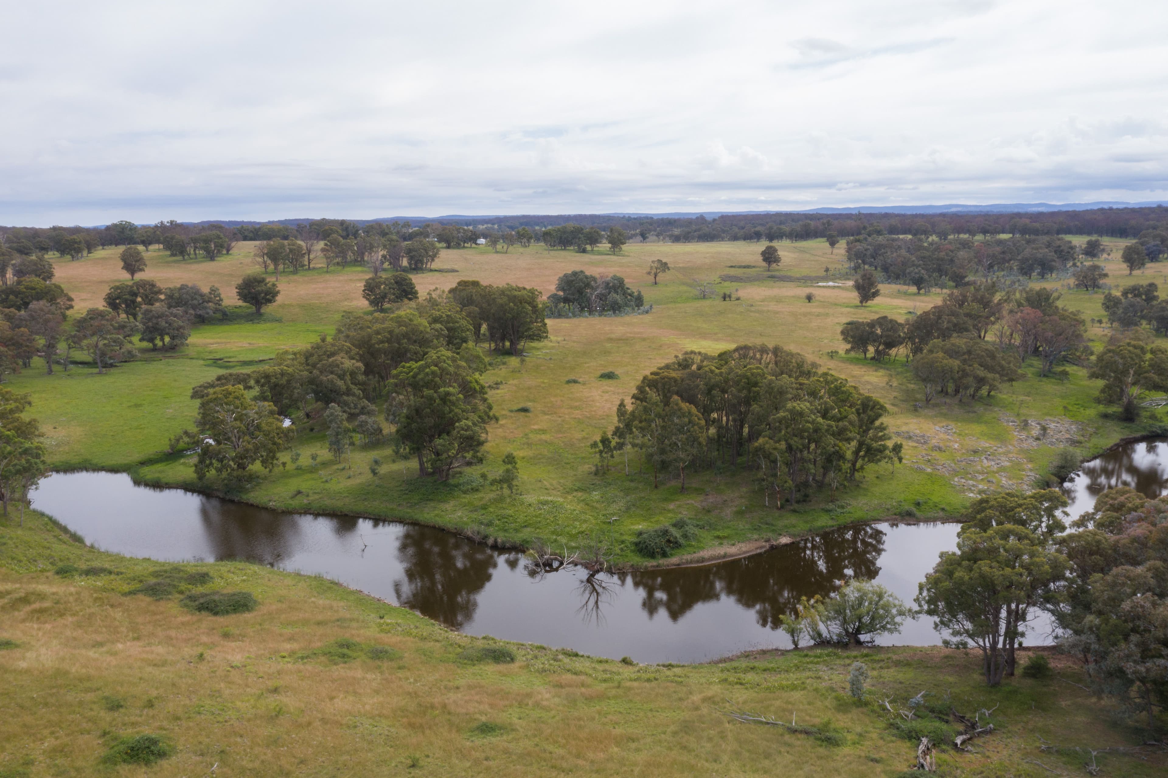 755 Junction Road, Tenterden NSW 2365, Tenterden - Image 1