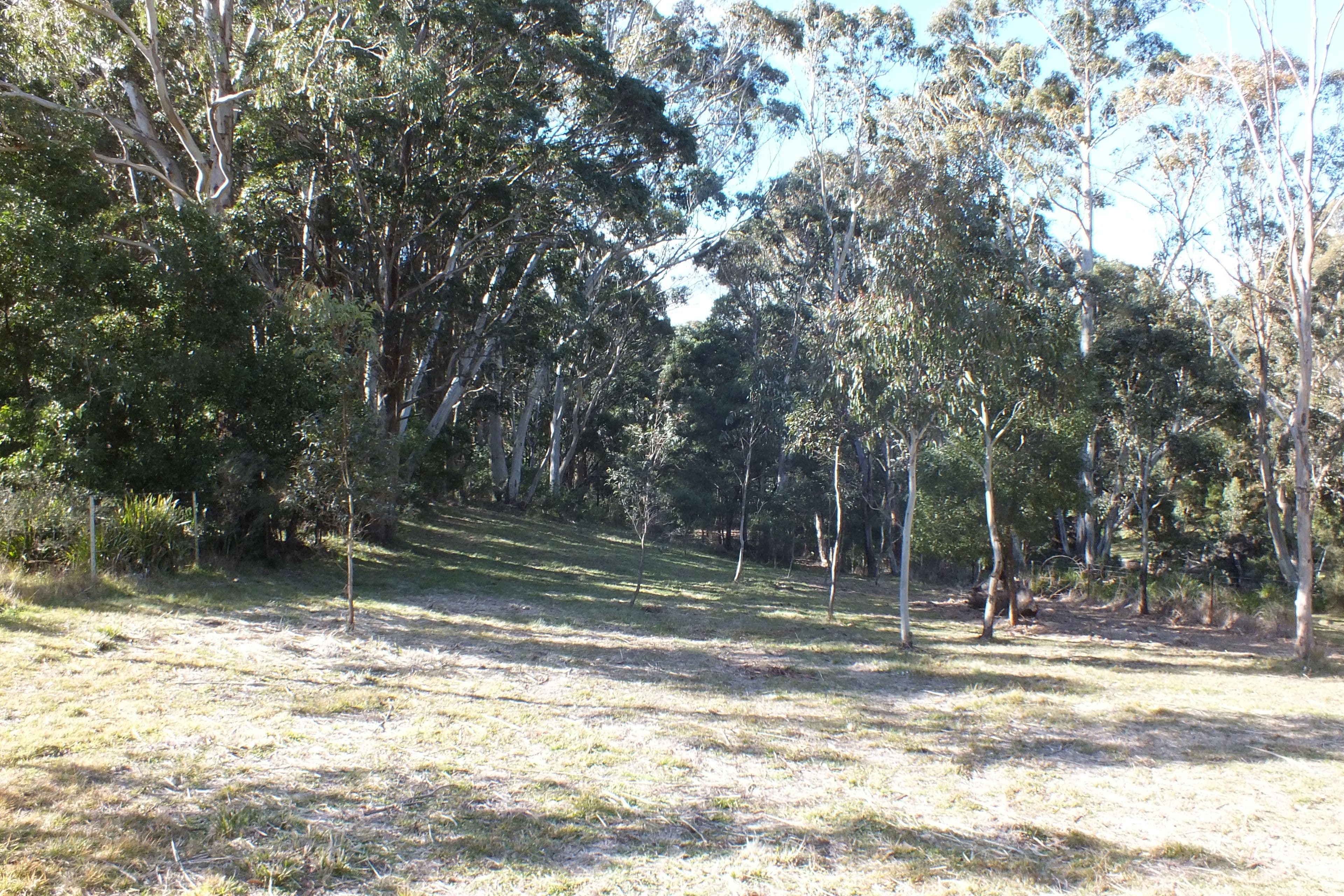 Lot 9 Jenolan Caves Road, Hampton NSW 2790, Hampton - Thumbnail 4