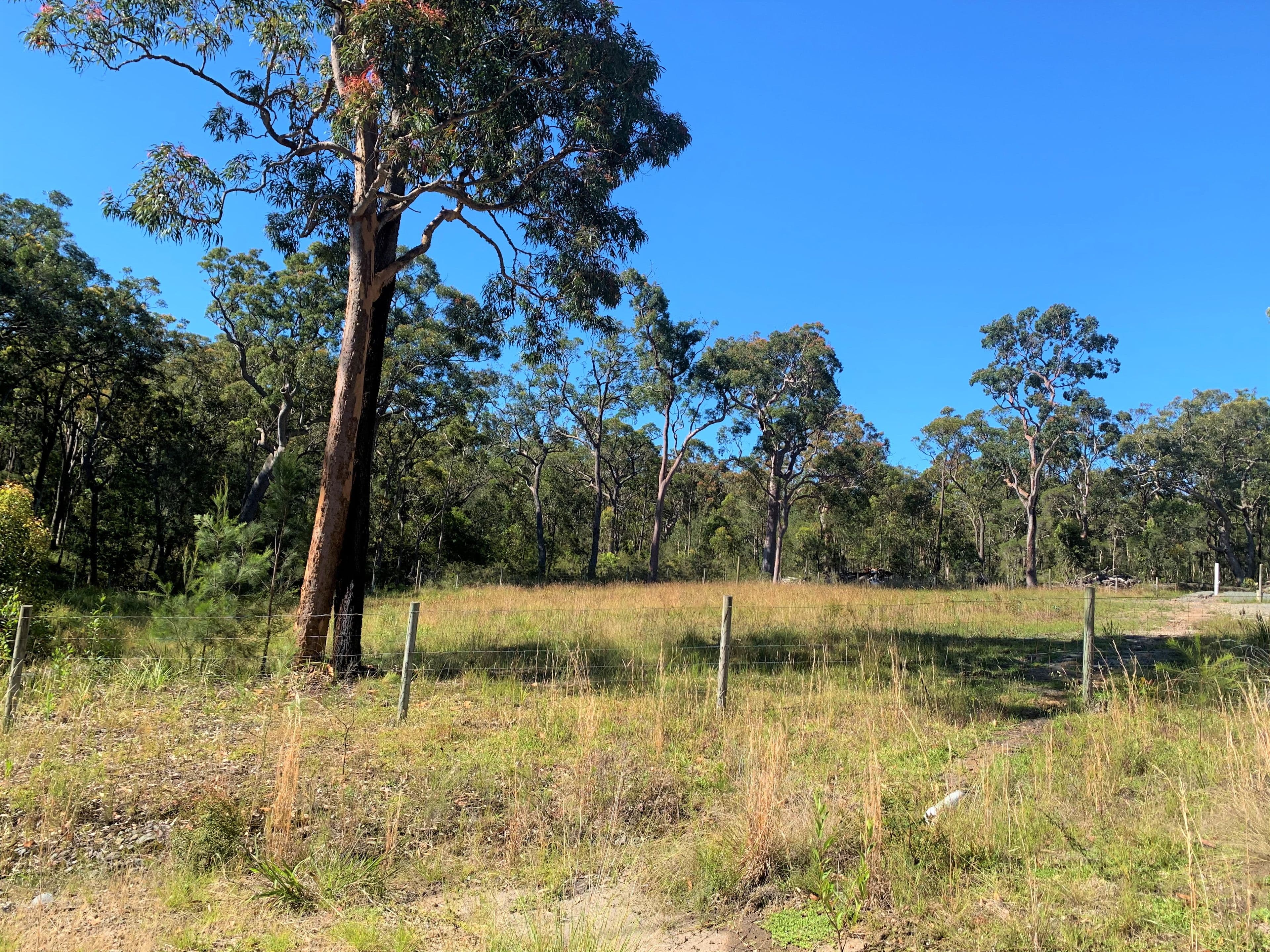 29 & 31 Cove Avenue, Bundabah NSW 2324, Bundabah - Thumbnail 4