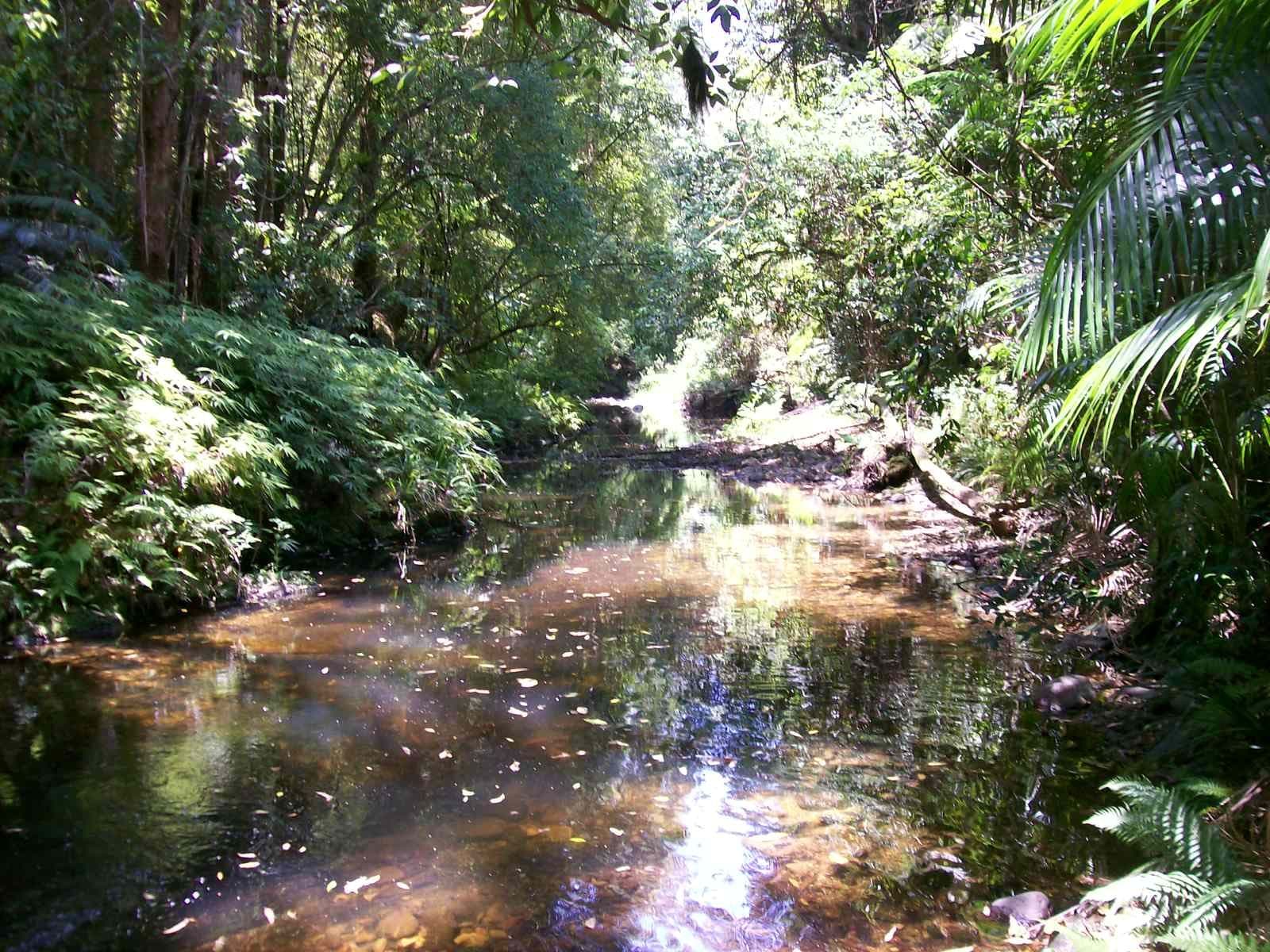 3566 Kalang Road Kalang, Bellingen NSW 2454, Bellingen - Thumbnail 3