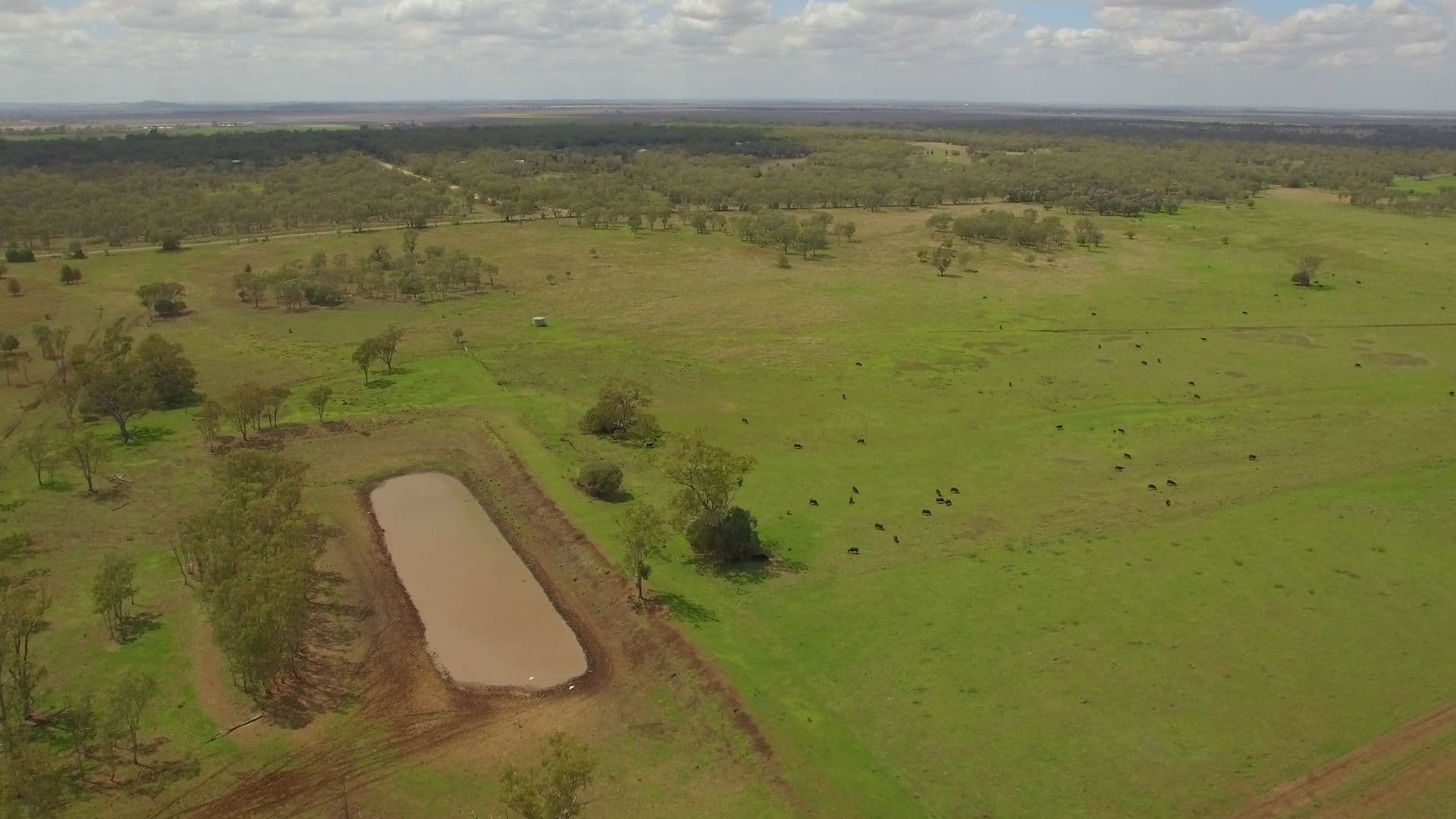 1251 Bunya Highway, Dalby QLD 4405, Dalby - Thumbnail 4