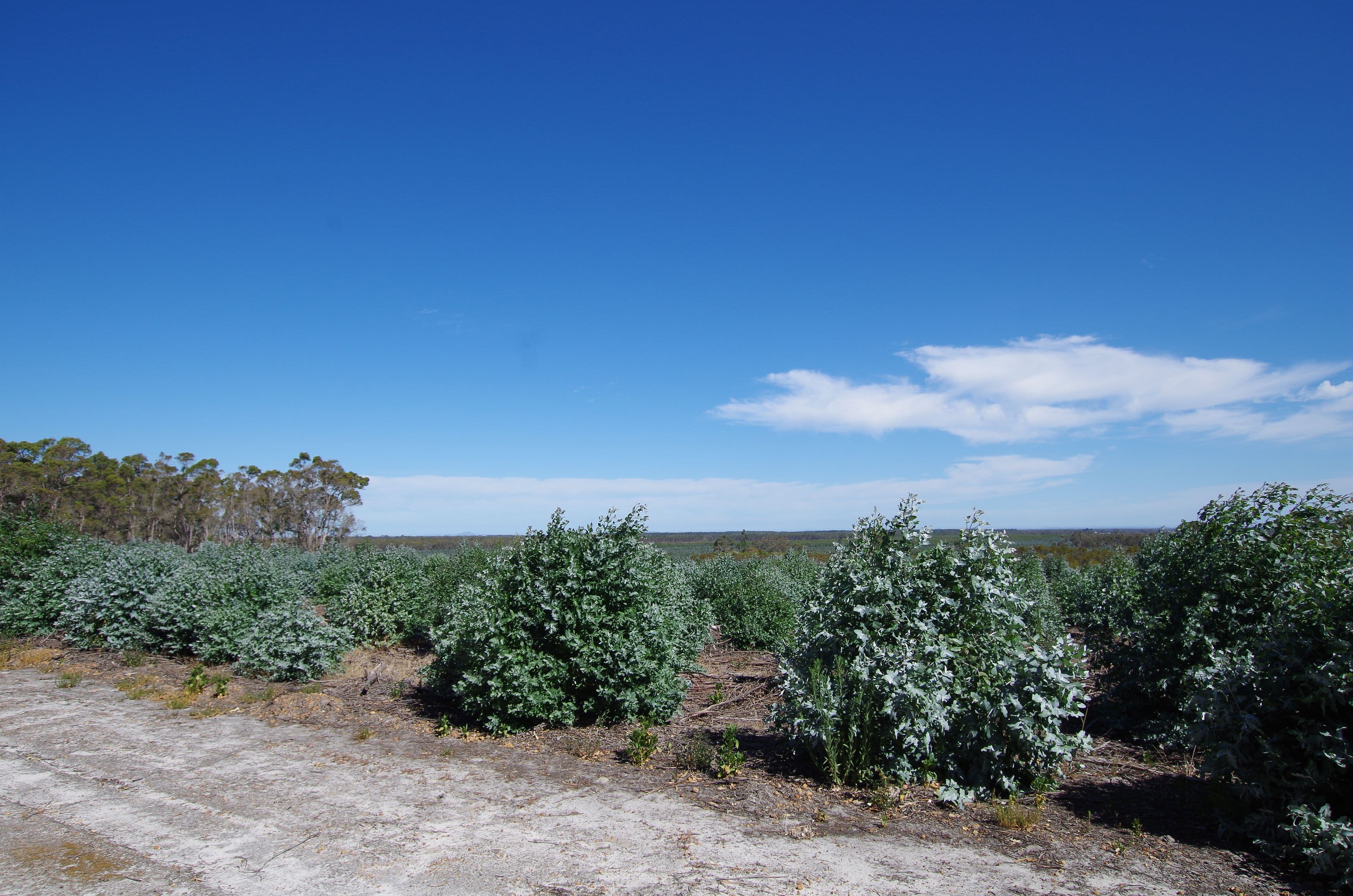 722 Watermans Road, Narrikup WA 6326, Narrikup - Thumbnail 3