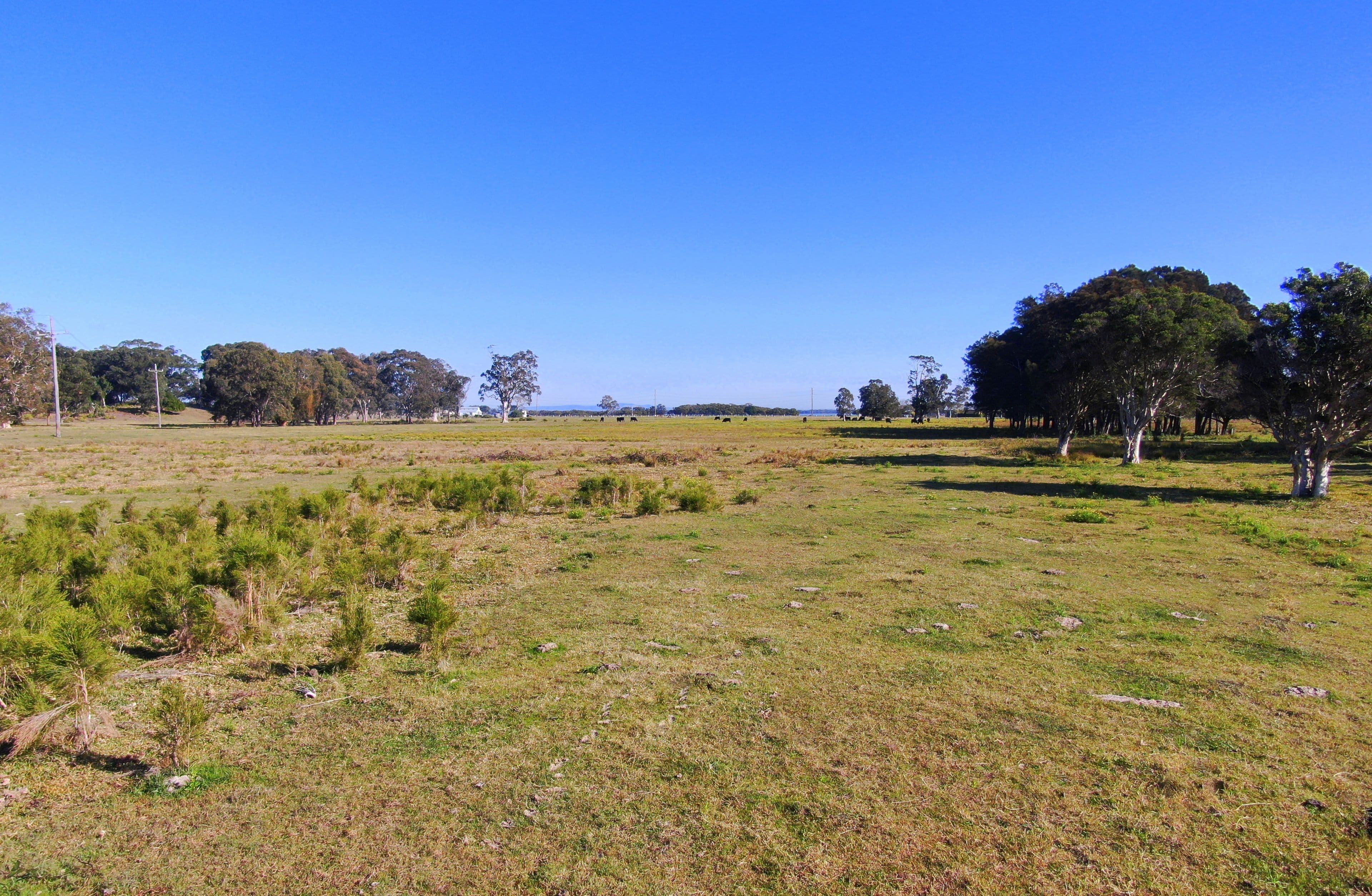 118 Fullerton Cove Road, Fullerton Cove NSW 2318, Fullerton Cove - Thumbnail 5