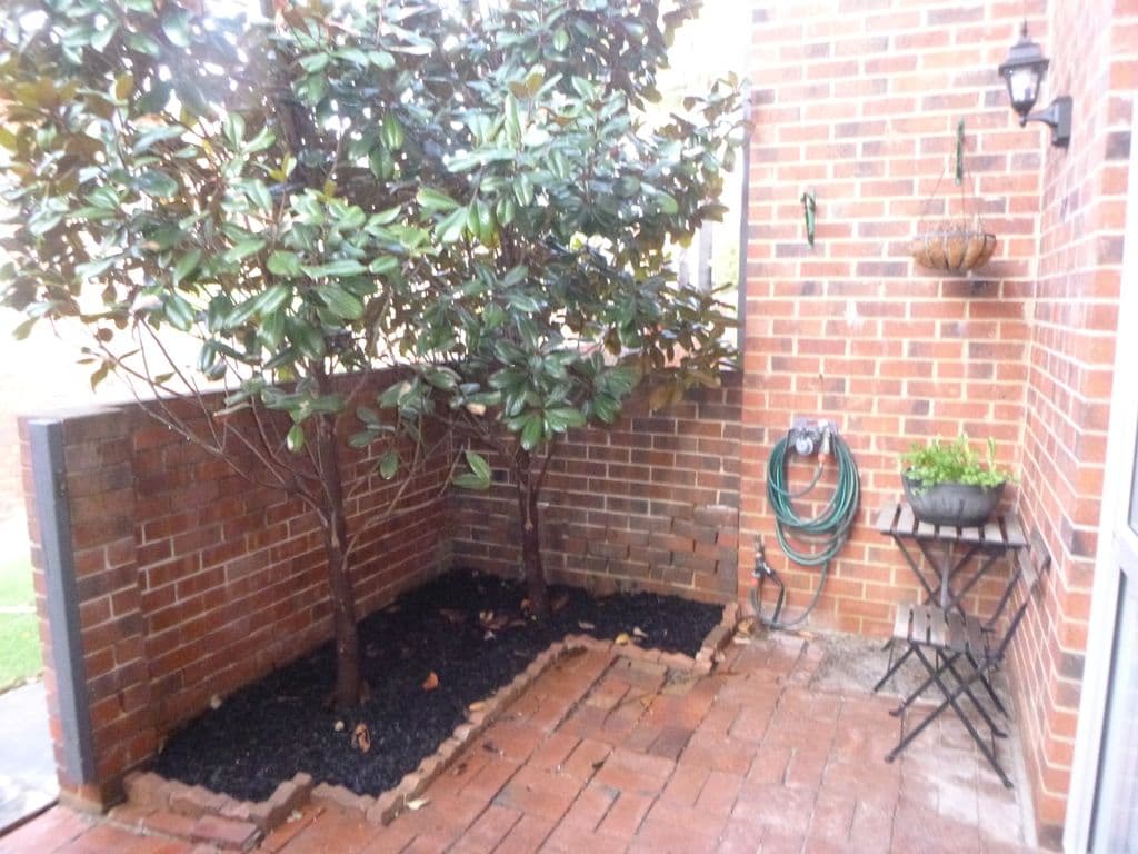 17/3 Witter Place, Brooklyn Park SA 5032, Brooklyn Park - Thumbnail 2