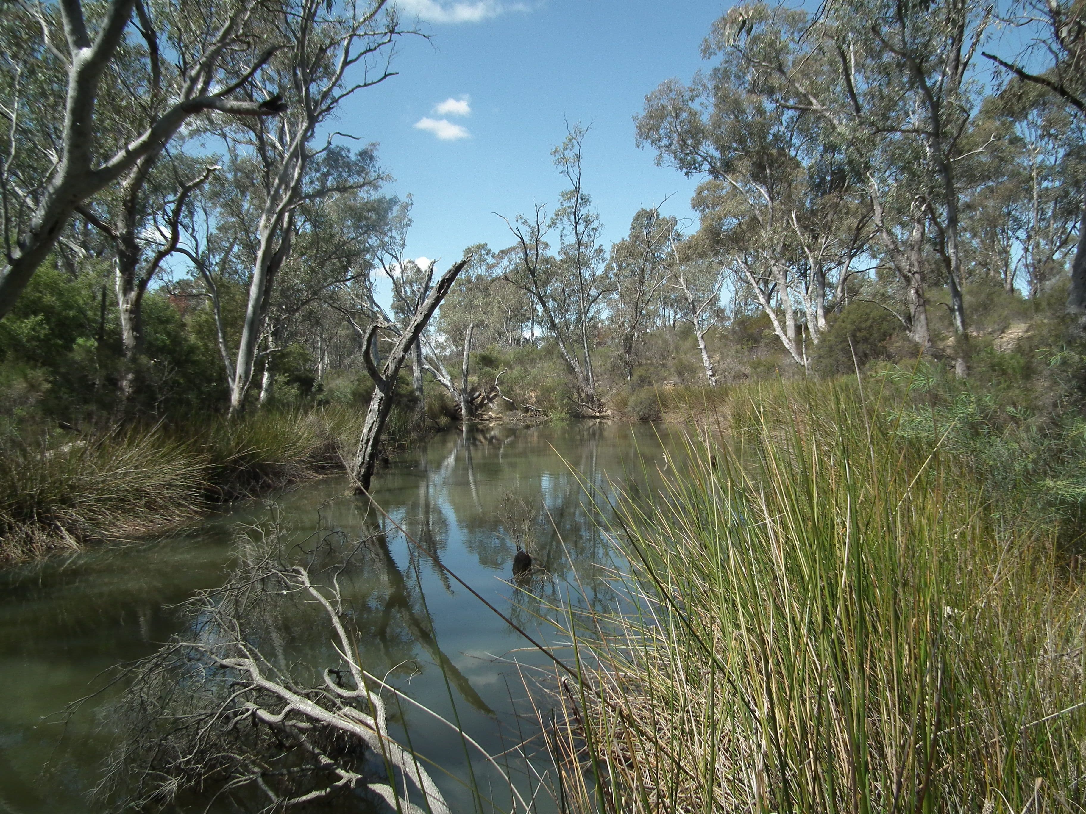CA 20 and 21 Delaney Road, Nagambie VIC 3608, Nagambie - Thumbnail 2