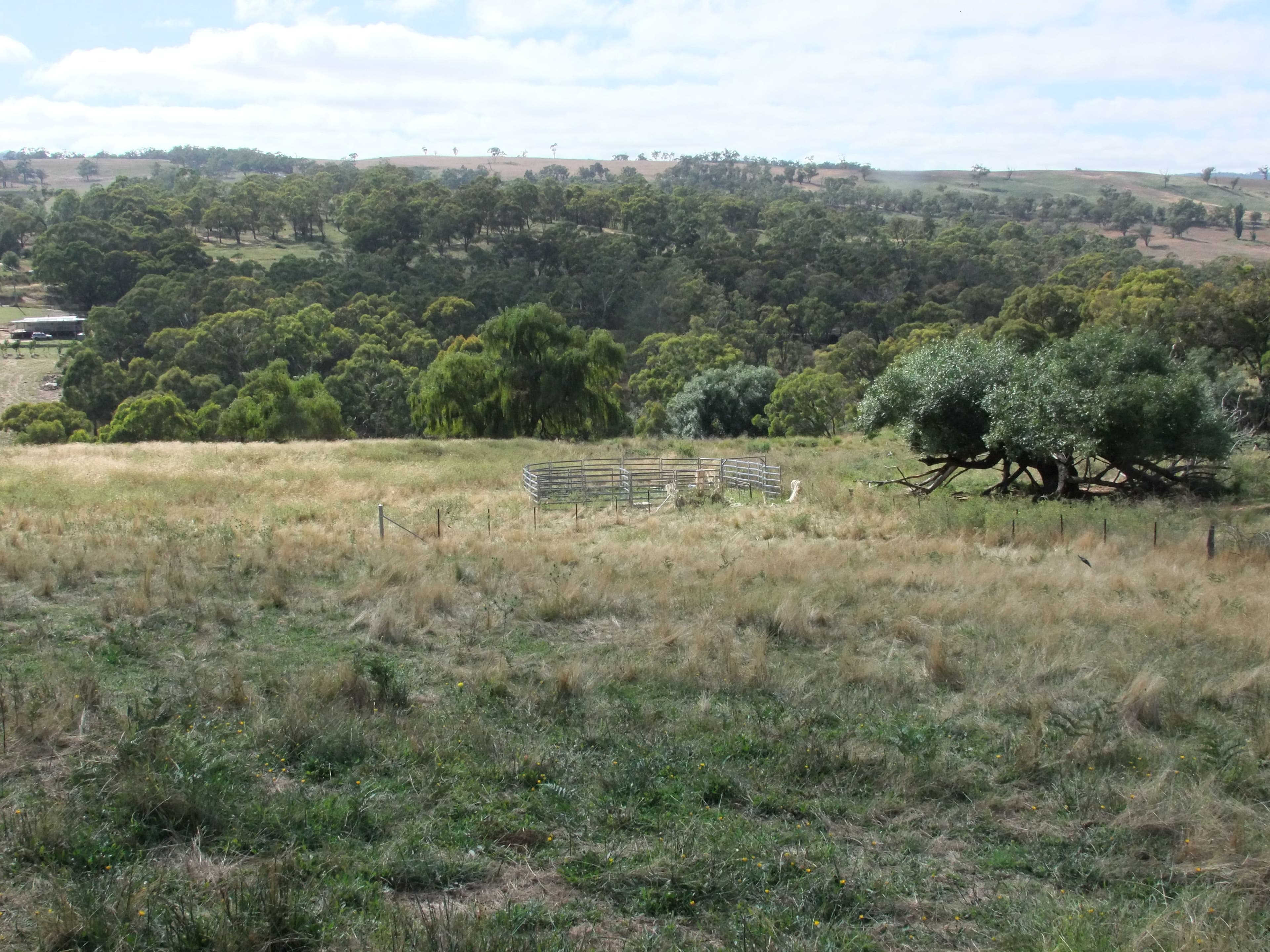 Tarana NSW 2787, Tarana - Thumbnail 5