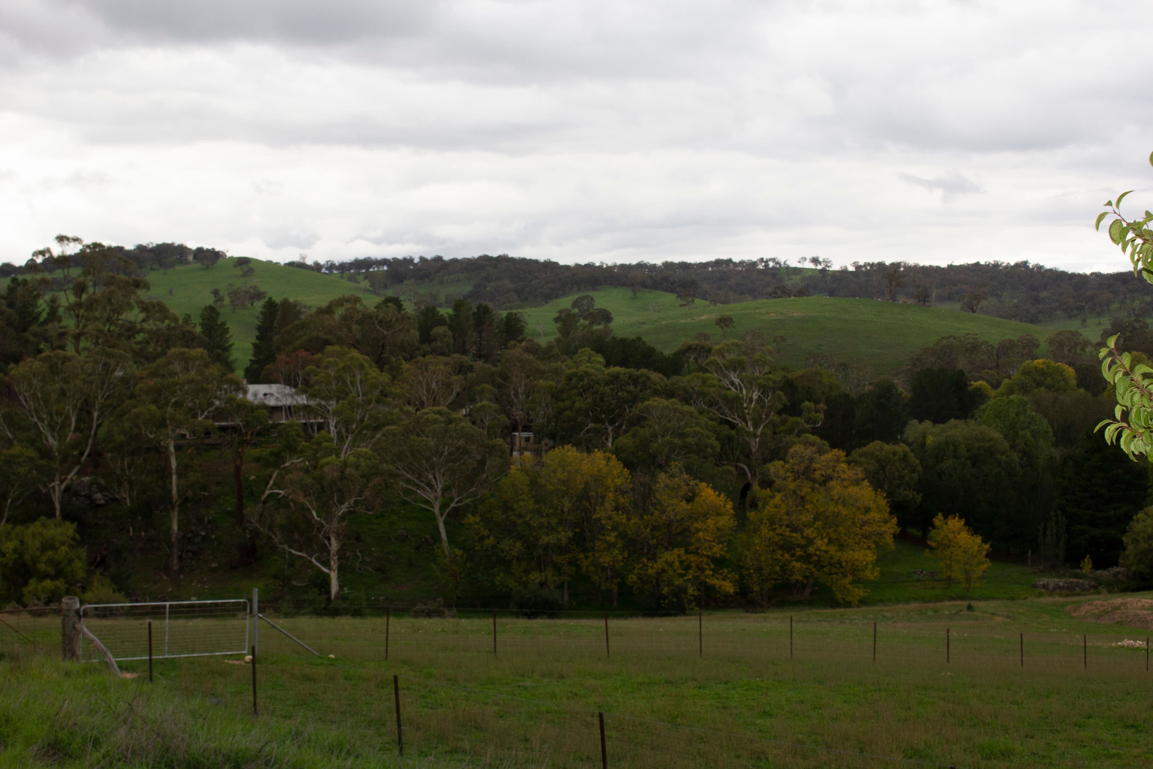 Rockley NSW 2795, Rockley - Image 1