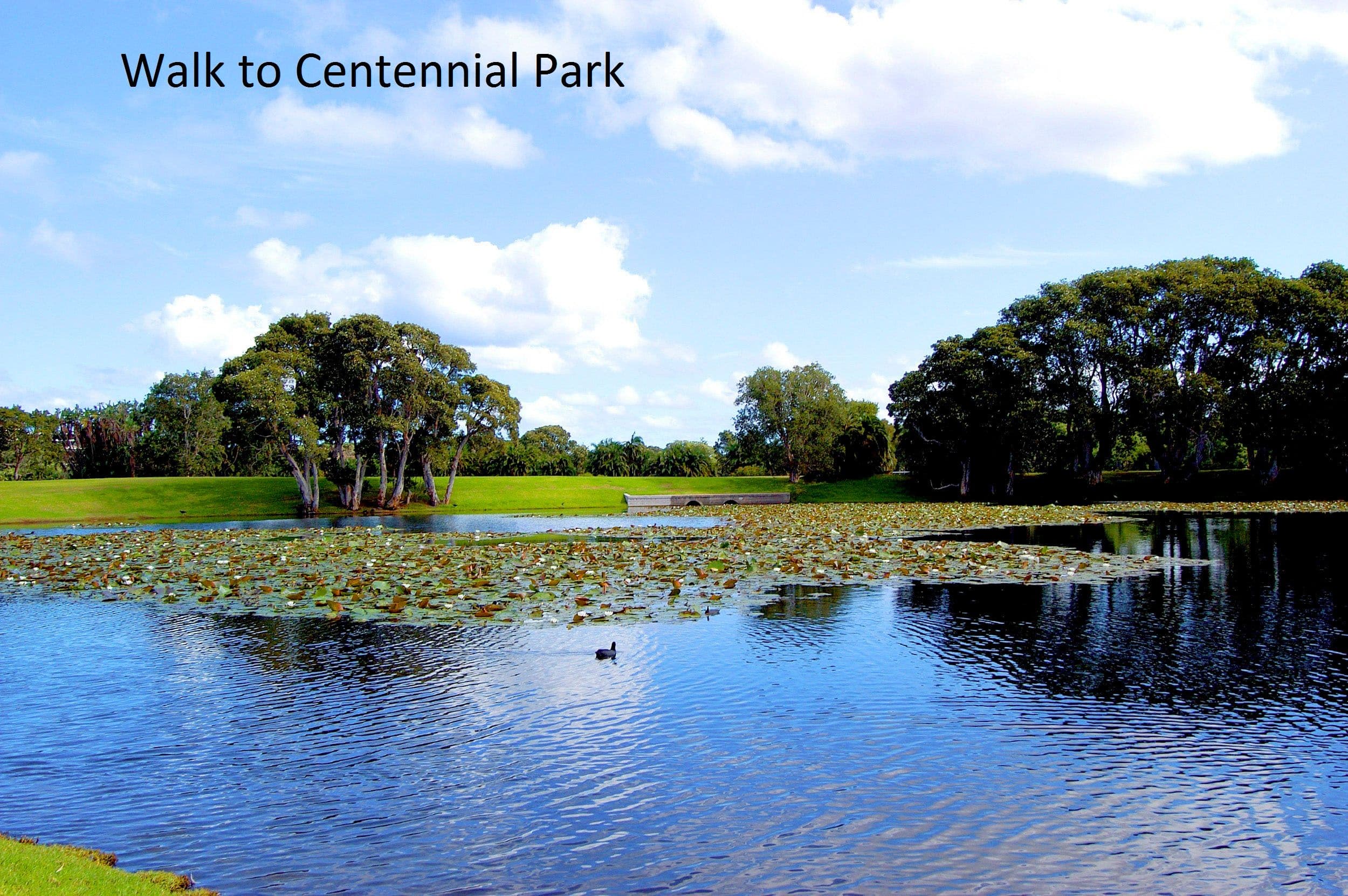 12 Figtree Avenue, Randwick NSW 2031, Randwick - Thumbnail 6