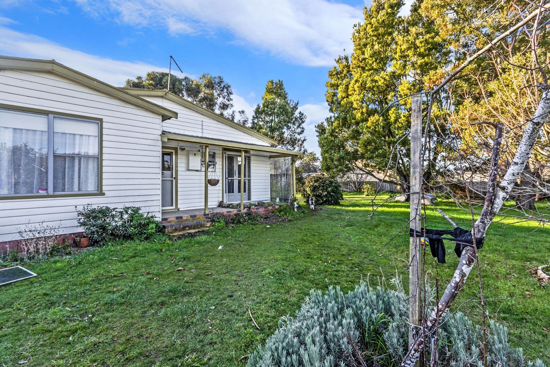 19 Cox Street, Nile TAS 7212, Nile - Image 1