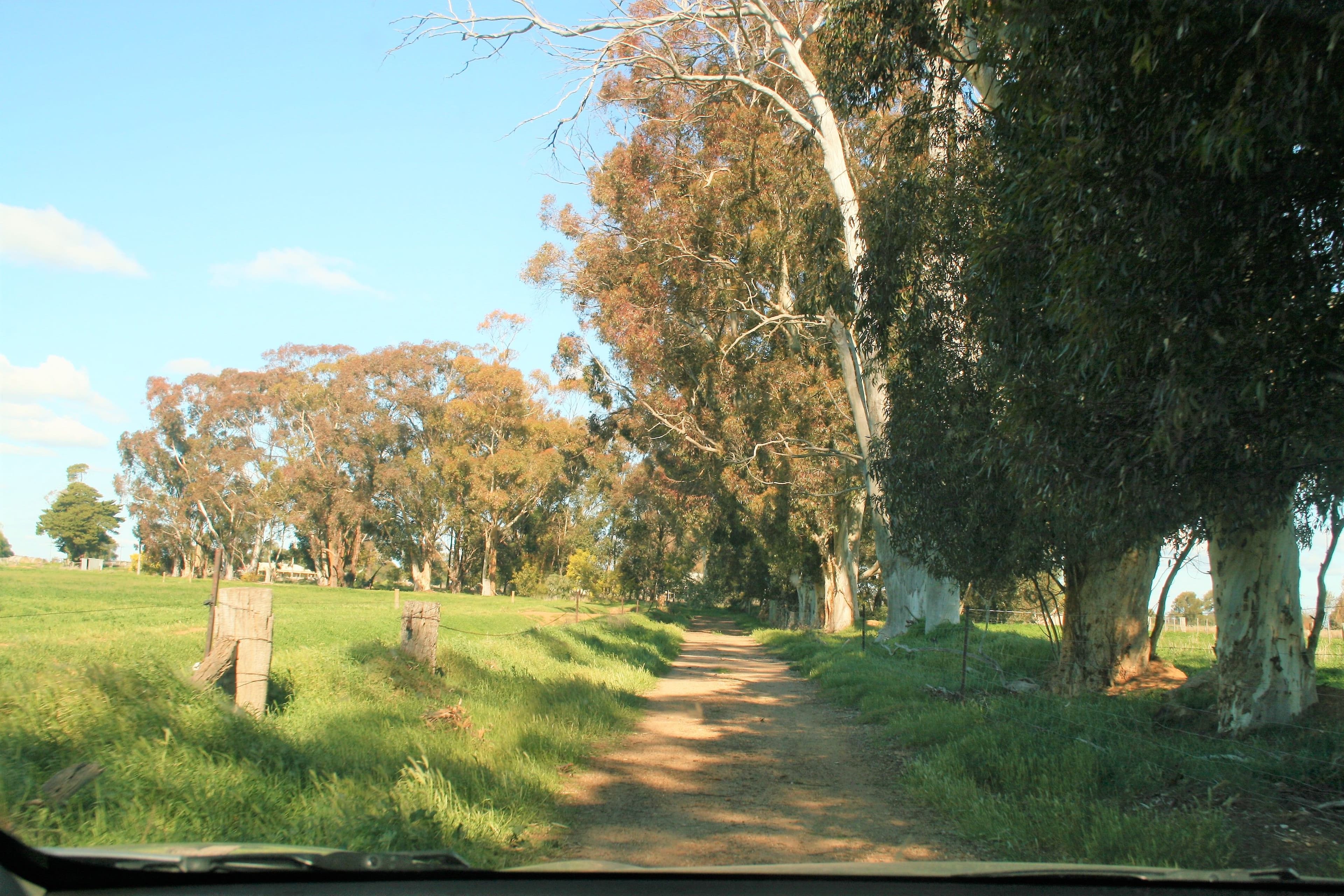 00 Minard Lane, Bamawm VIC 3561, Bamawm - Thumbnail 8