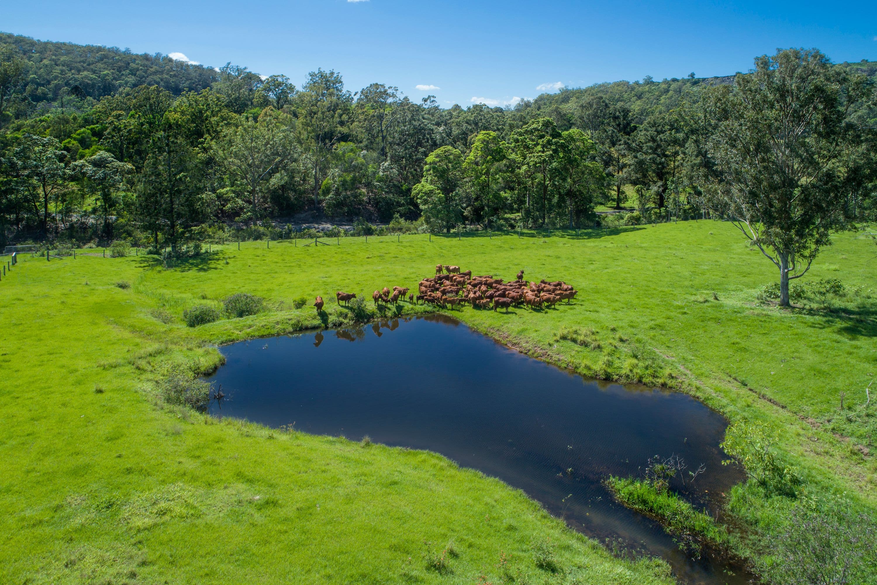 392 Moorina Road, Moorina QLD 4506, Moorina - Thumbnail 3