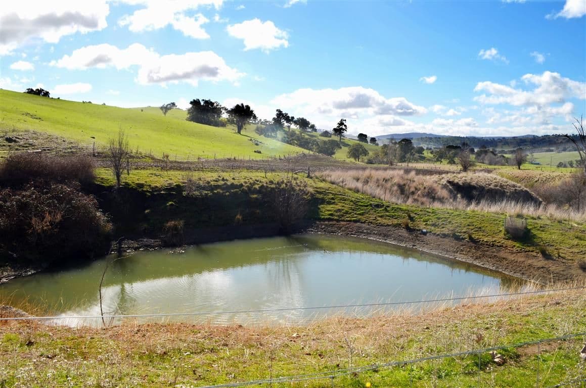 'Tanyard Creek' Stantons Road, ADELONG NSW 2729, Adelong - Thumbnail 6