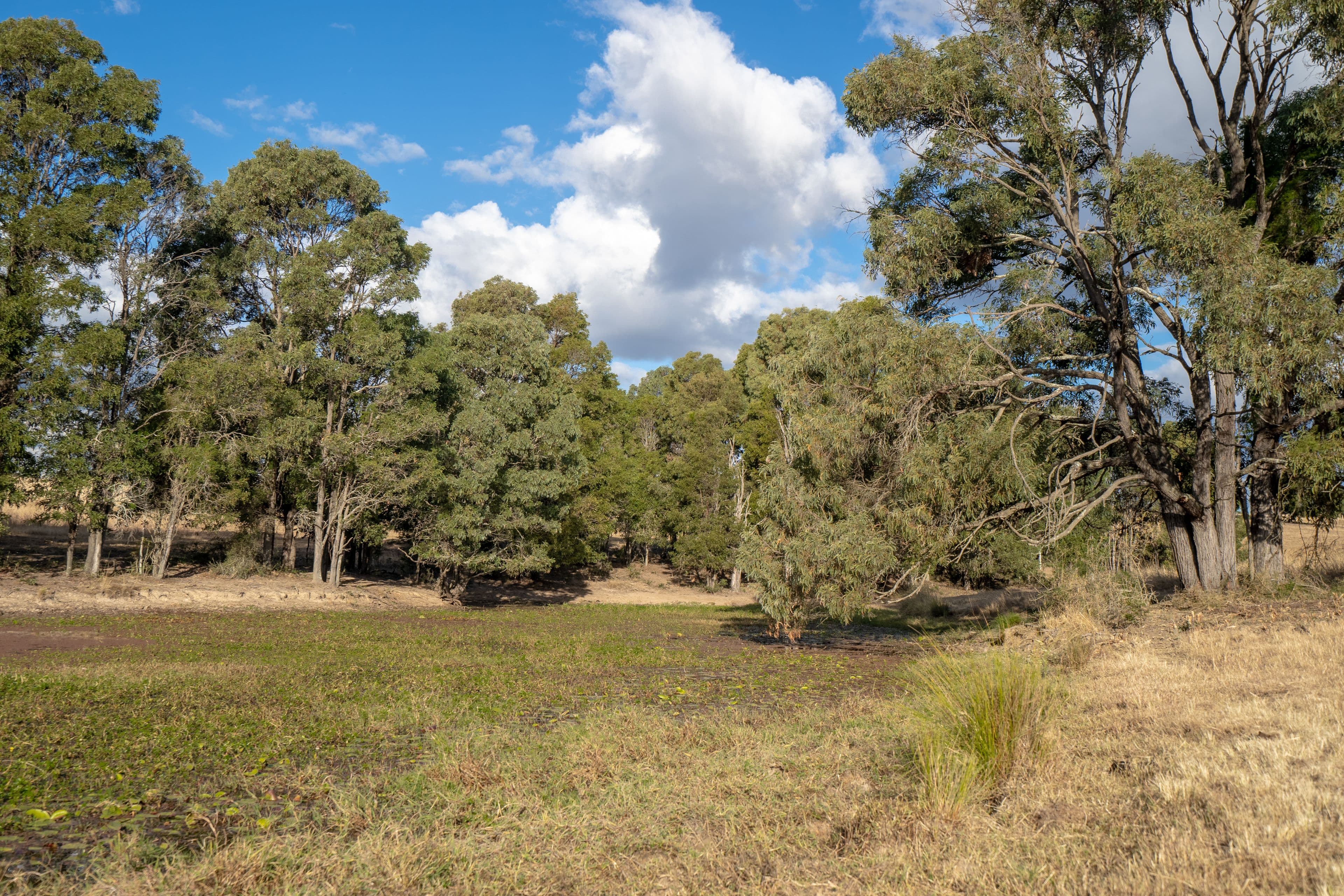 59 Linnings Road, Haigslea QLD 4306, Haigslea - Thumbnail 4