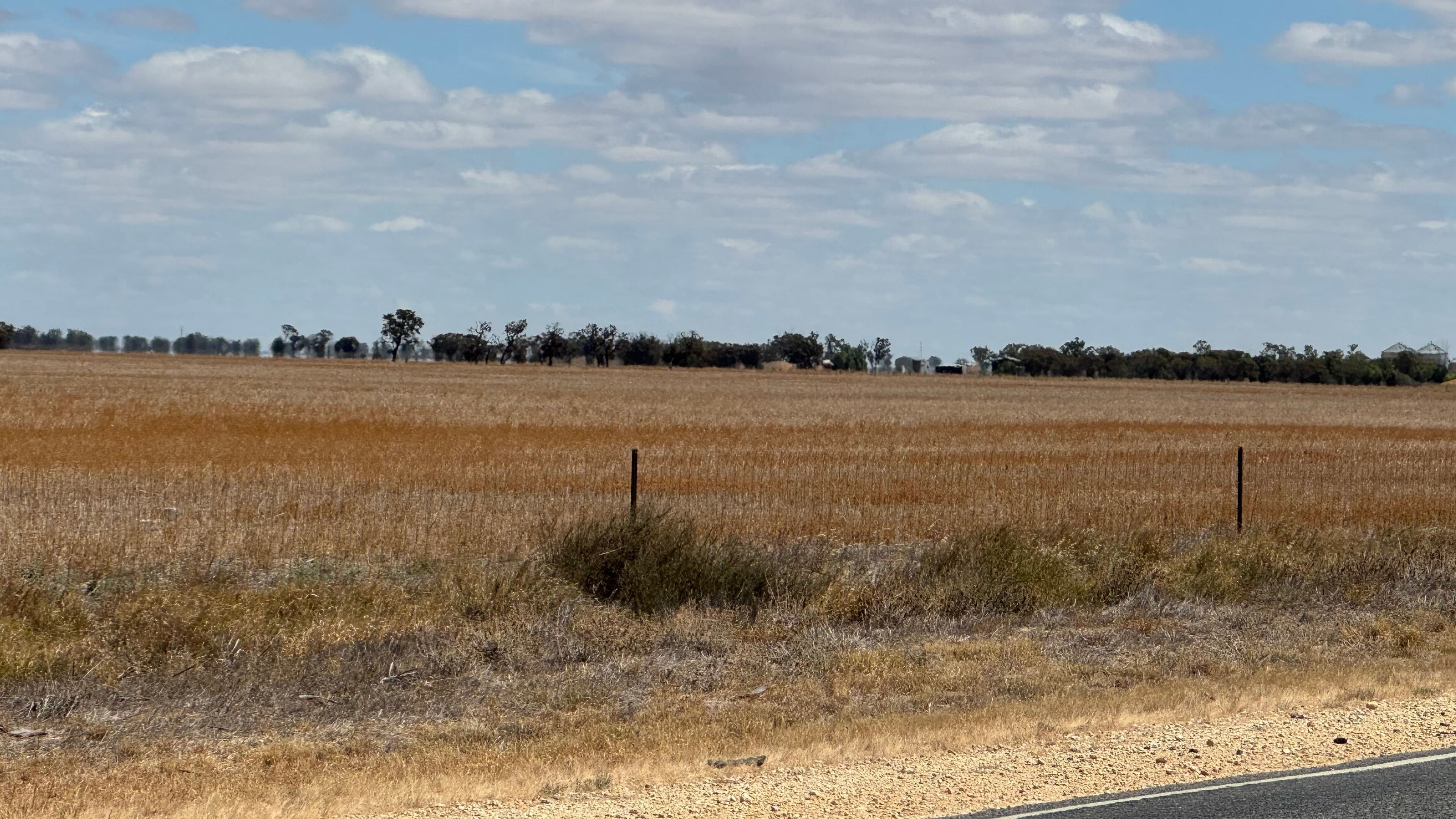 Birchip- Corack Road, Birchip VIC 3483, Birchip - Thumbnail 6
