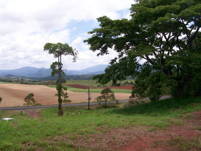 761 Palmerston Highway(cnr Henderson Dr), Pin Gin Hill QLD 4860, Pin Gin Hill - Thumbnail 2