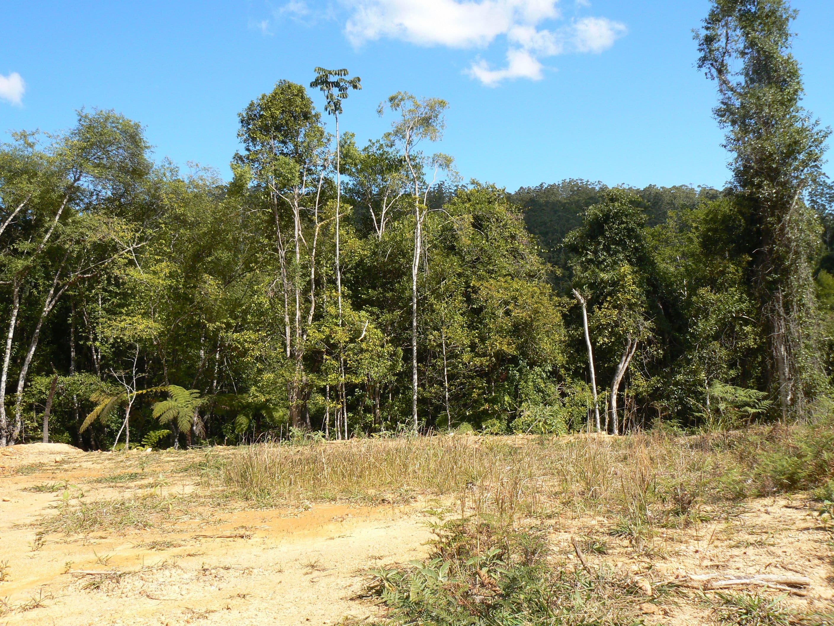 1243 Kalang Road, Bellingen NSW 2454, Bellingen - Thumbnail 8