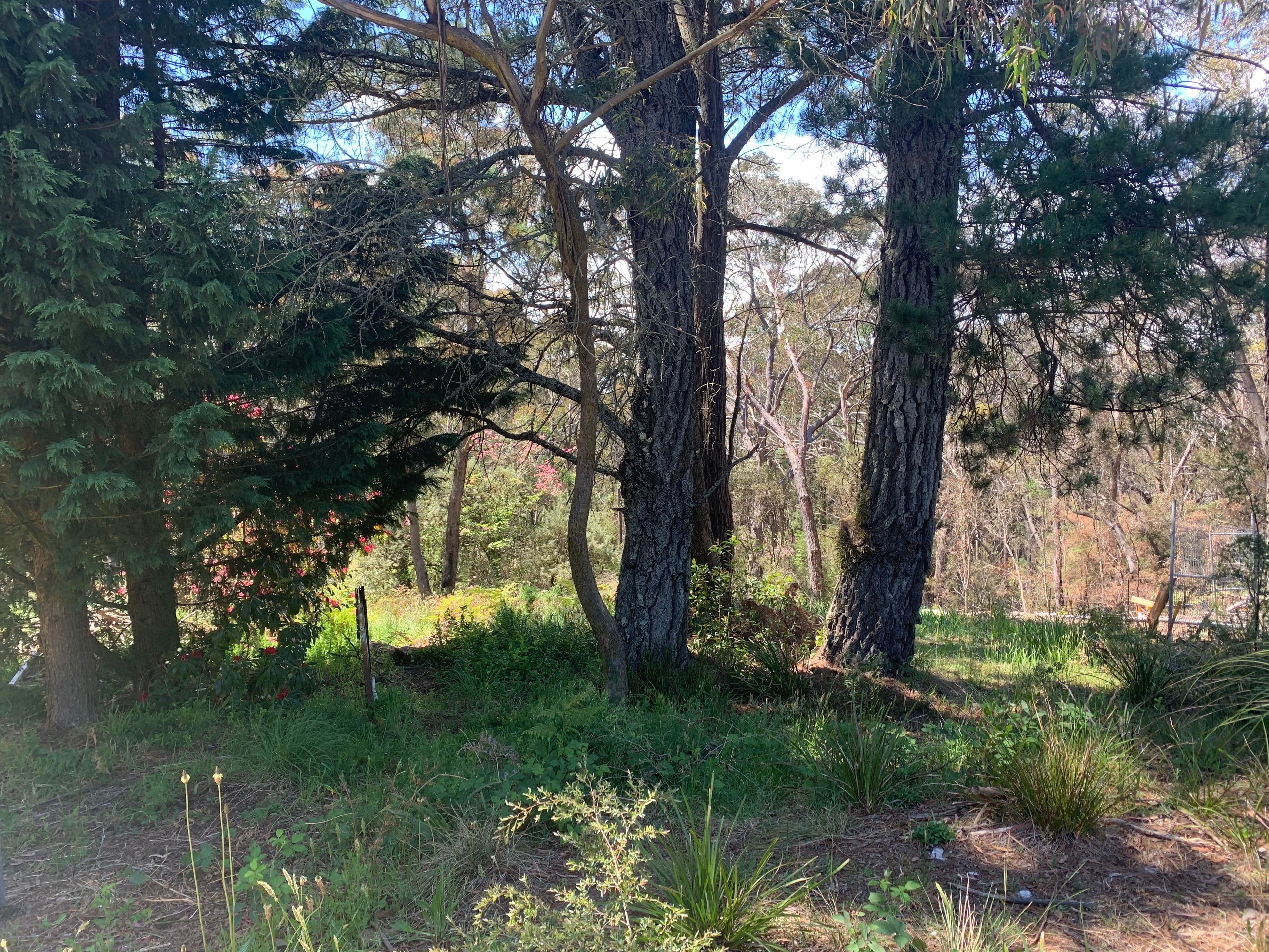 76 Railway Parade, Medlow Bath NSW 2780, Medlow Bath - Thumbnail 2