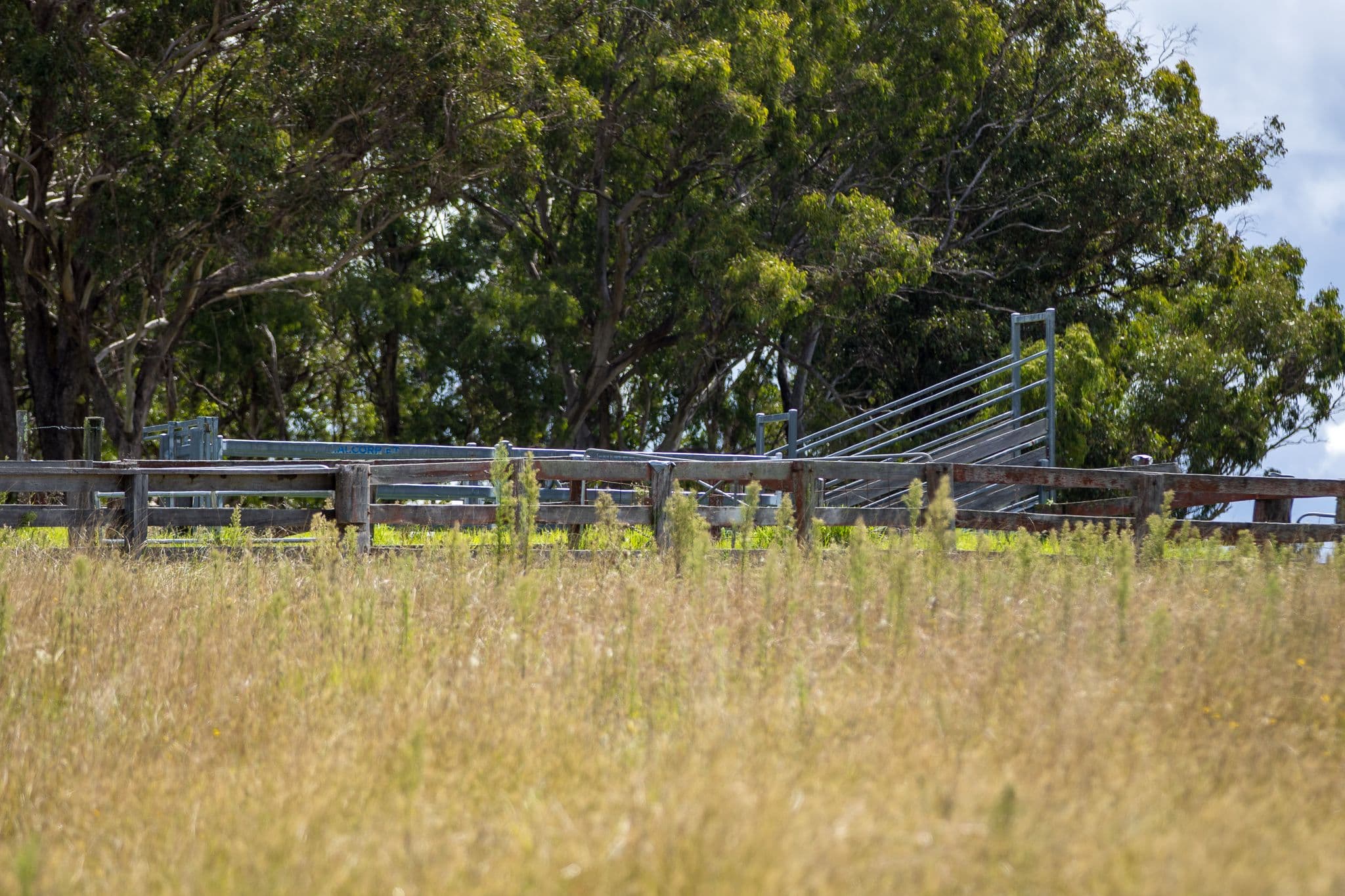 1670 Grafton Road, Armidale NSW 2350, Armidale - Thumbnail 6