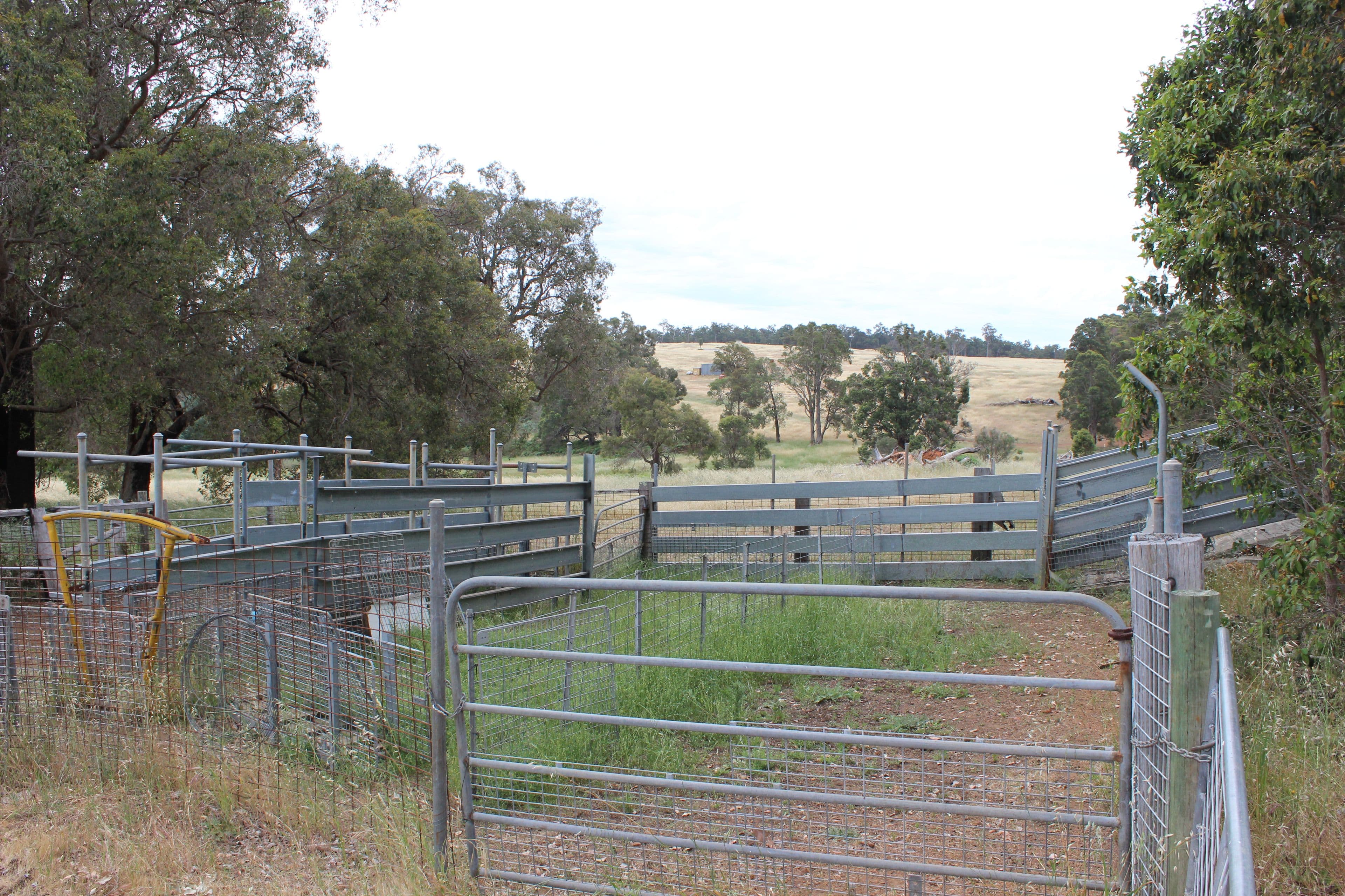 Bridgetown WA 6255, Bridgetown - Thumbnail 6