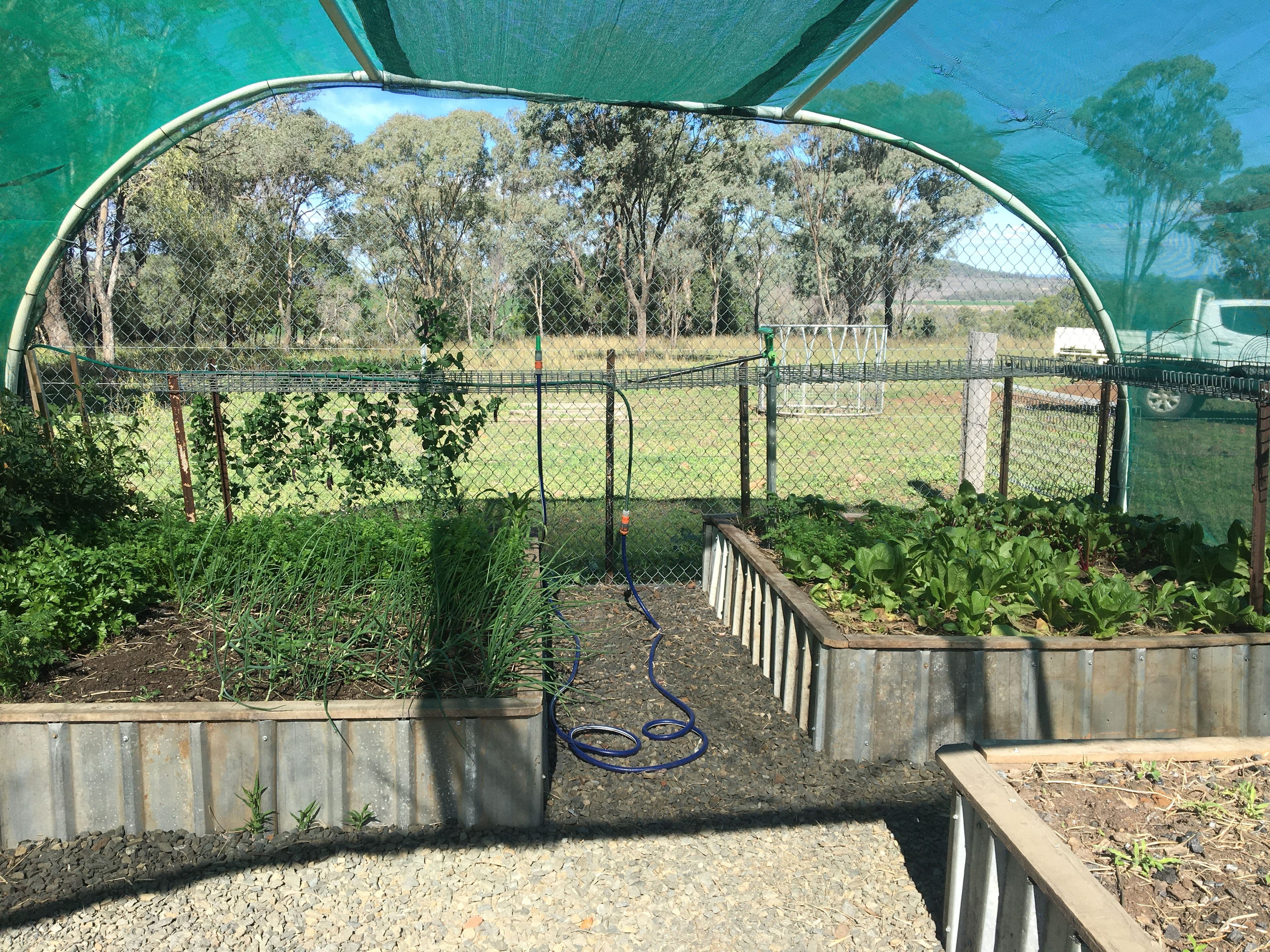 0 Scrubby Road, Scrubby Mountain, Pittsworth QLD 4356, Pittsworth - Thumbnail 6