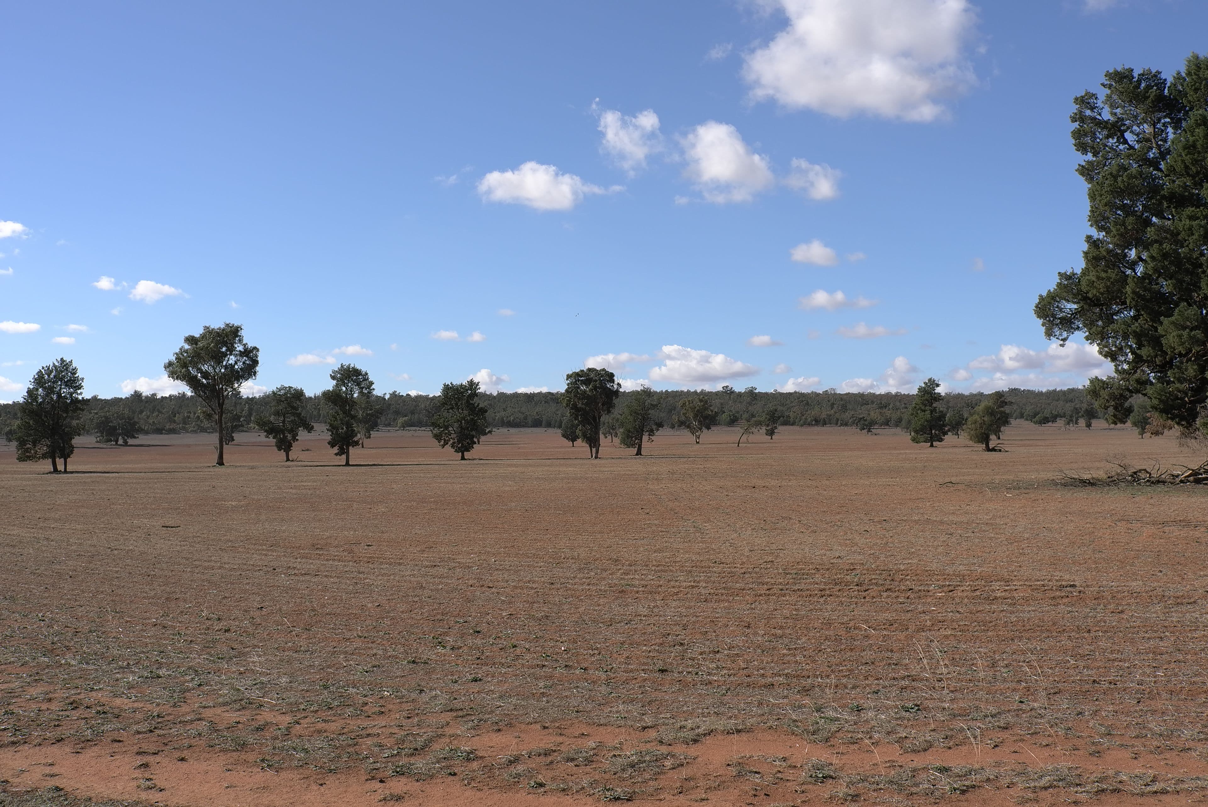 Narrandera NSW 2700, Narrandera - Thumbnail 7