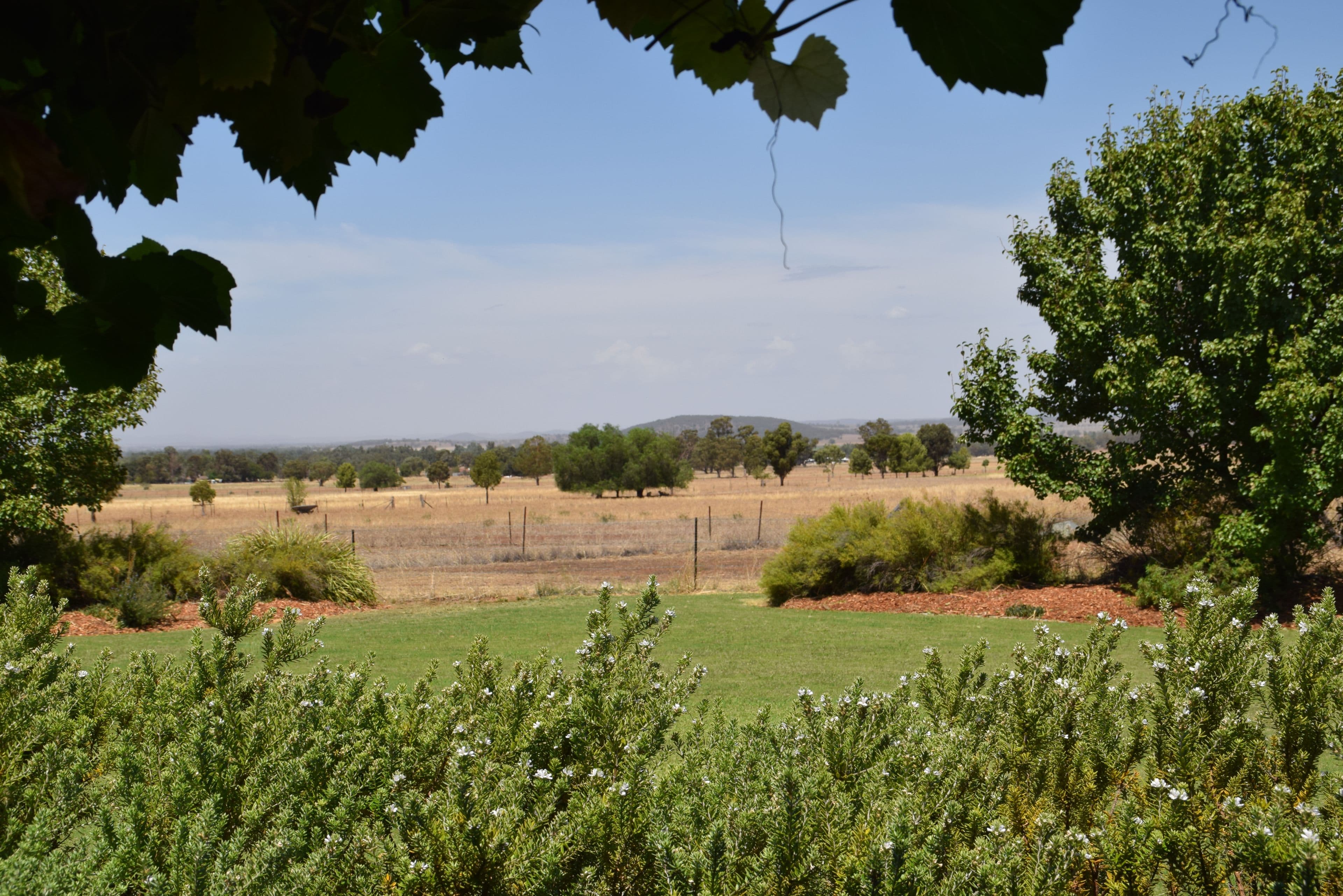 'Hillview' 106R Old Dubbo Road, Dubbo NSW 2830, Dubbo - Thumbnail 8