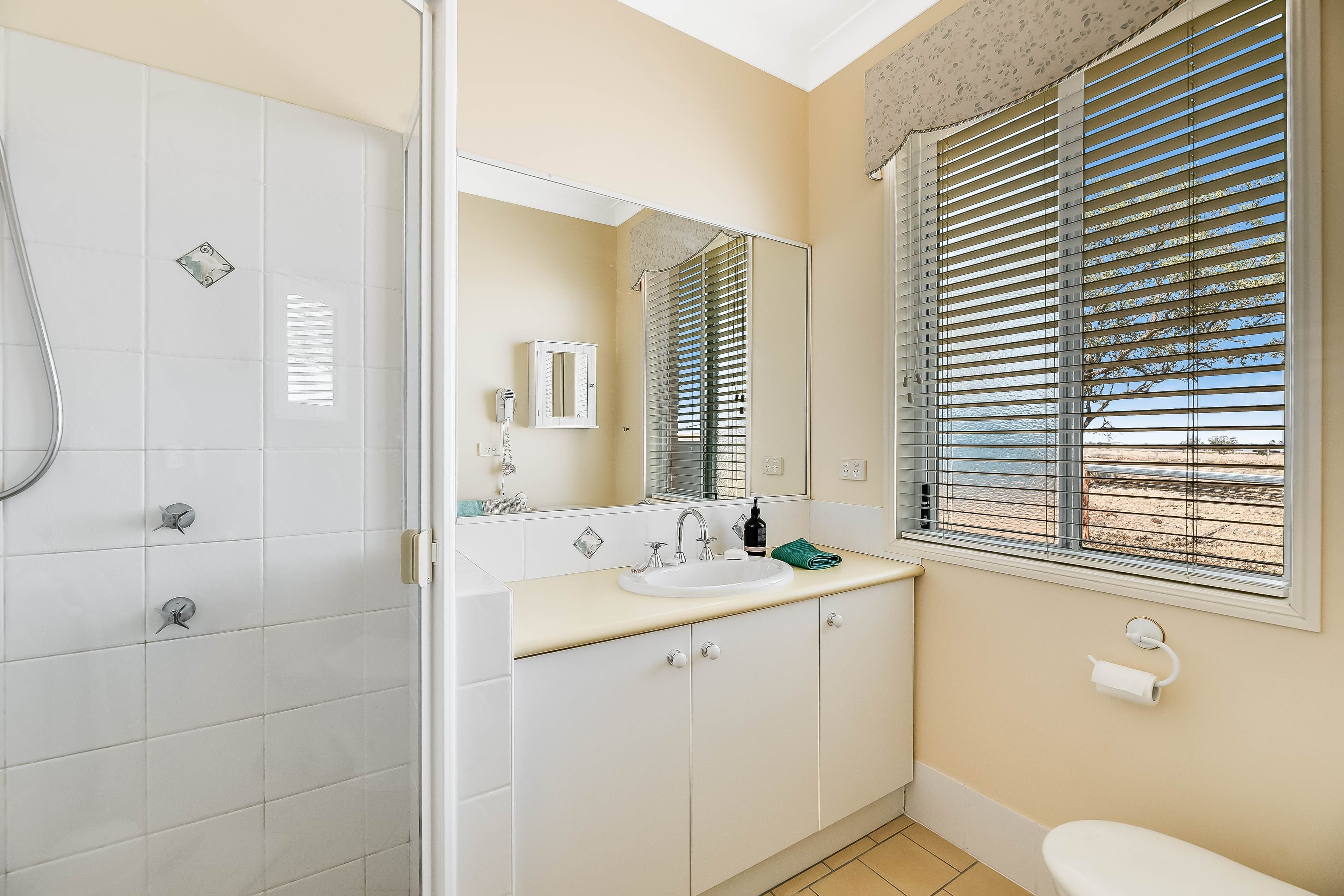 99 Shepperd Road, Vale View QLD 4352, Vale View - Thumbnail 8