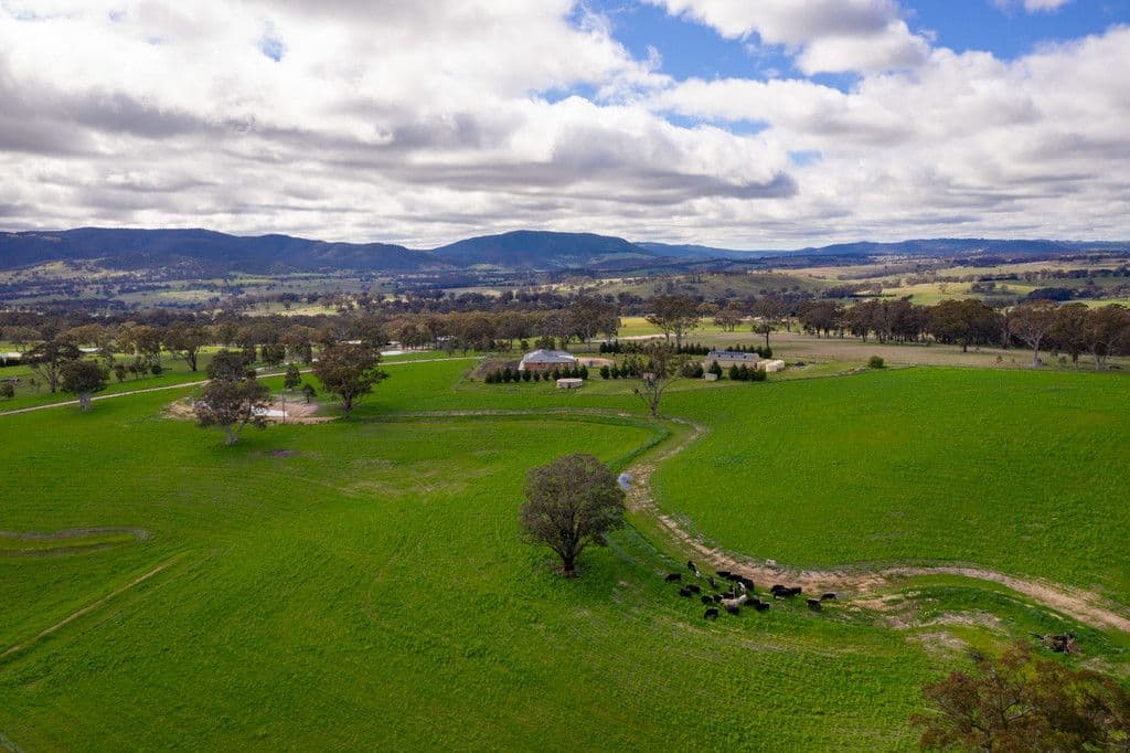 1299 Carlwood Road, O'Connell NSW 2795, O'Connell - Image 1