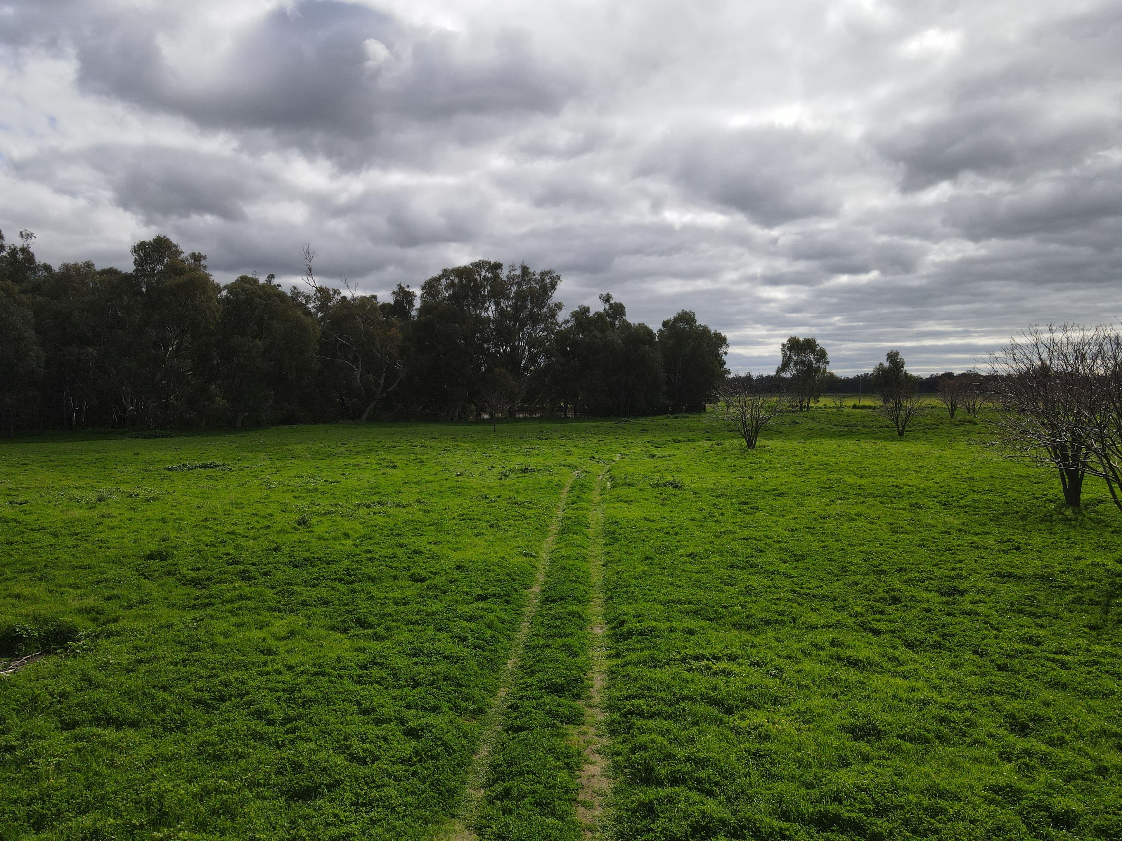 Bullock Paddock  The Escort Way, Forbes NSW 2871, Forbes - Thumbnail 7