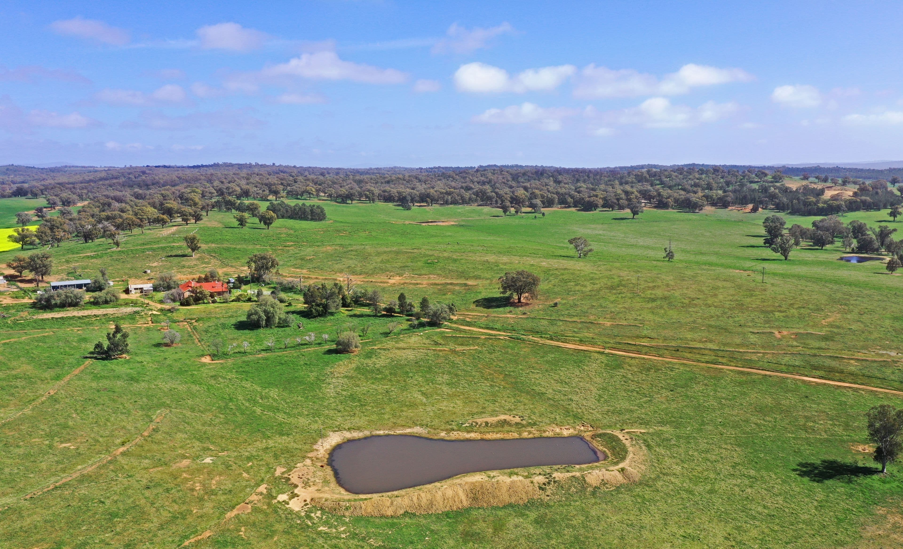 Grenfell NSW 2810, Grenfell - Thumbnail 2