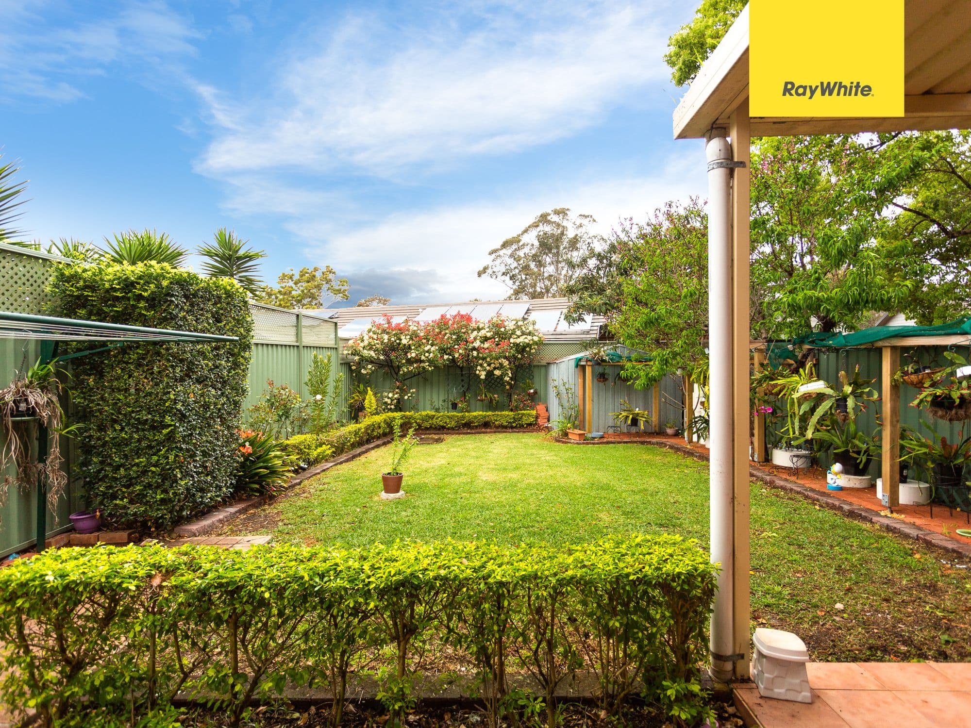 5A Iluka Street, Riverwood NSW 2210, Riverwood - Thumbnail 6