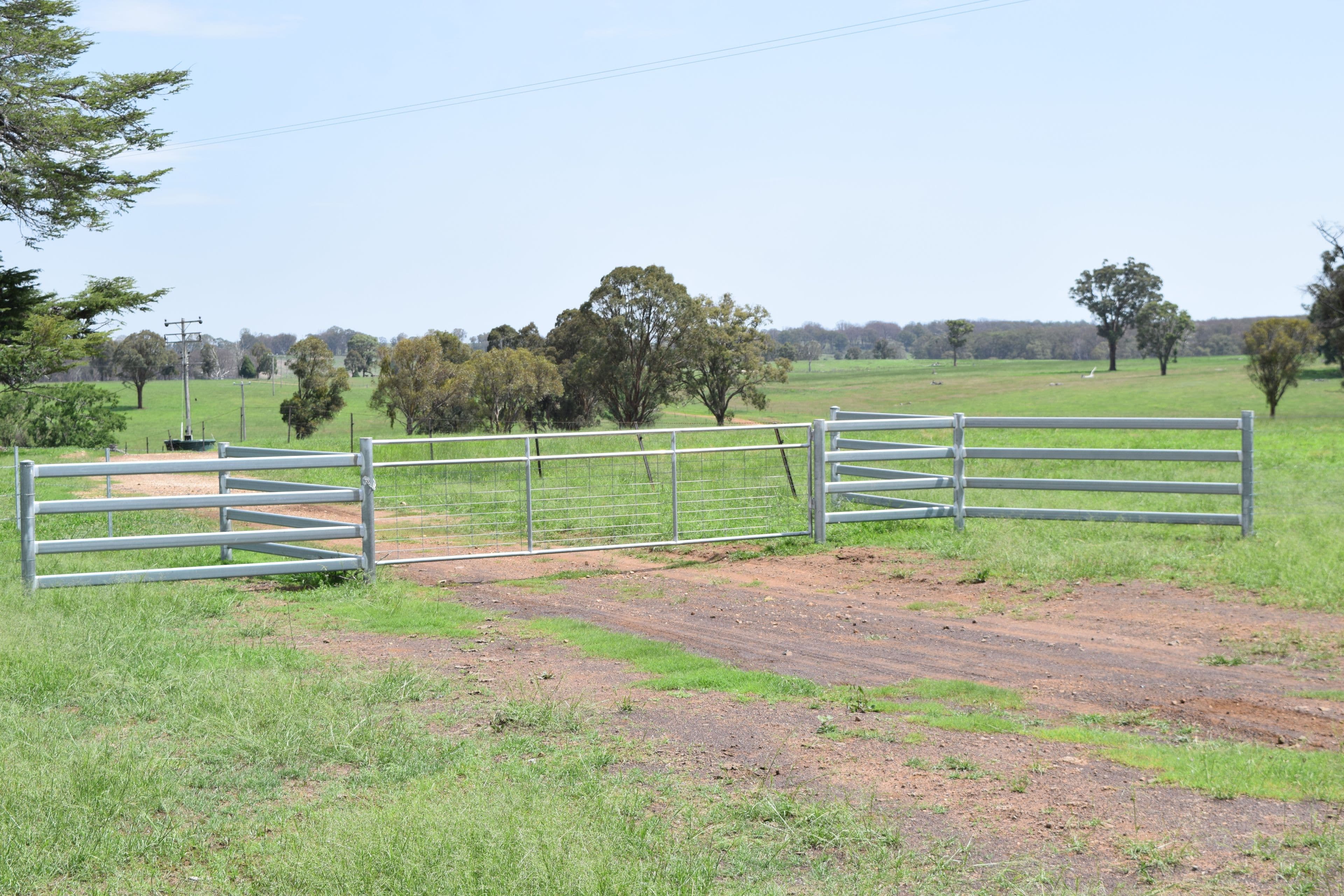 1071 Briarbrook Road, Guyra NSW 2365, Guyra - Thumbnail 3