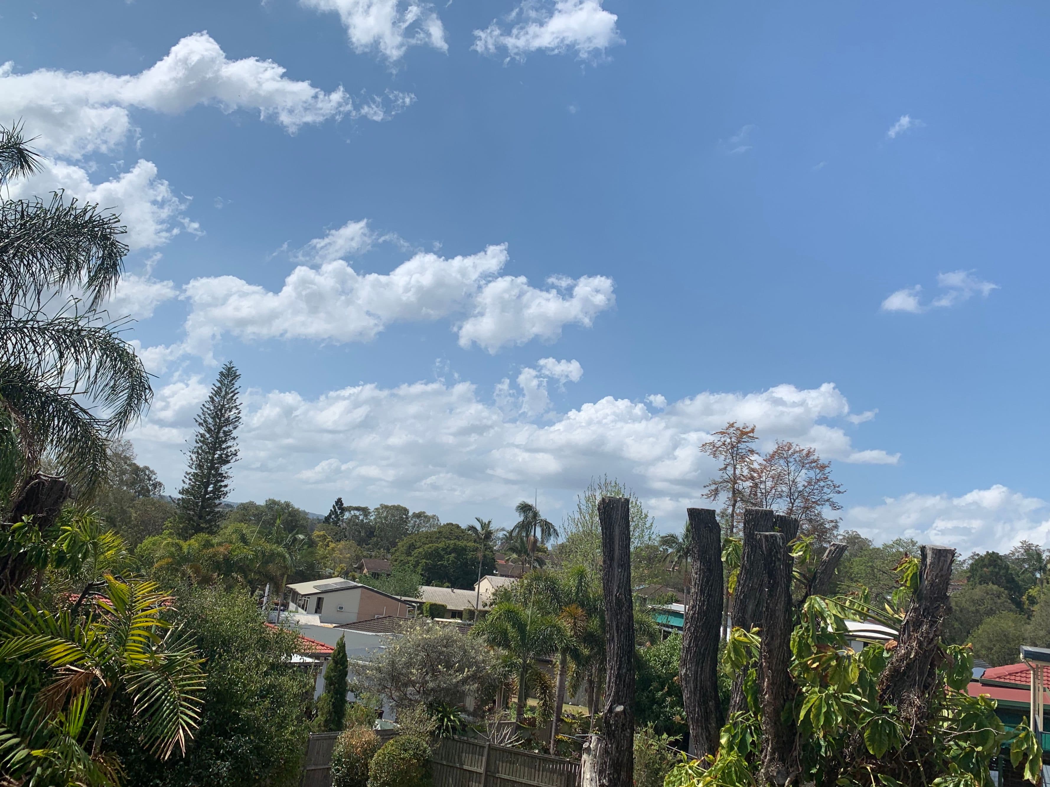 25 Woggle Street, Jamboree Heights QLD 4074, Jamboree Heights - Thumbnail 5