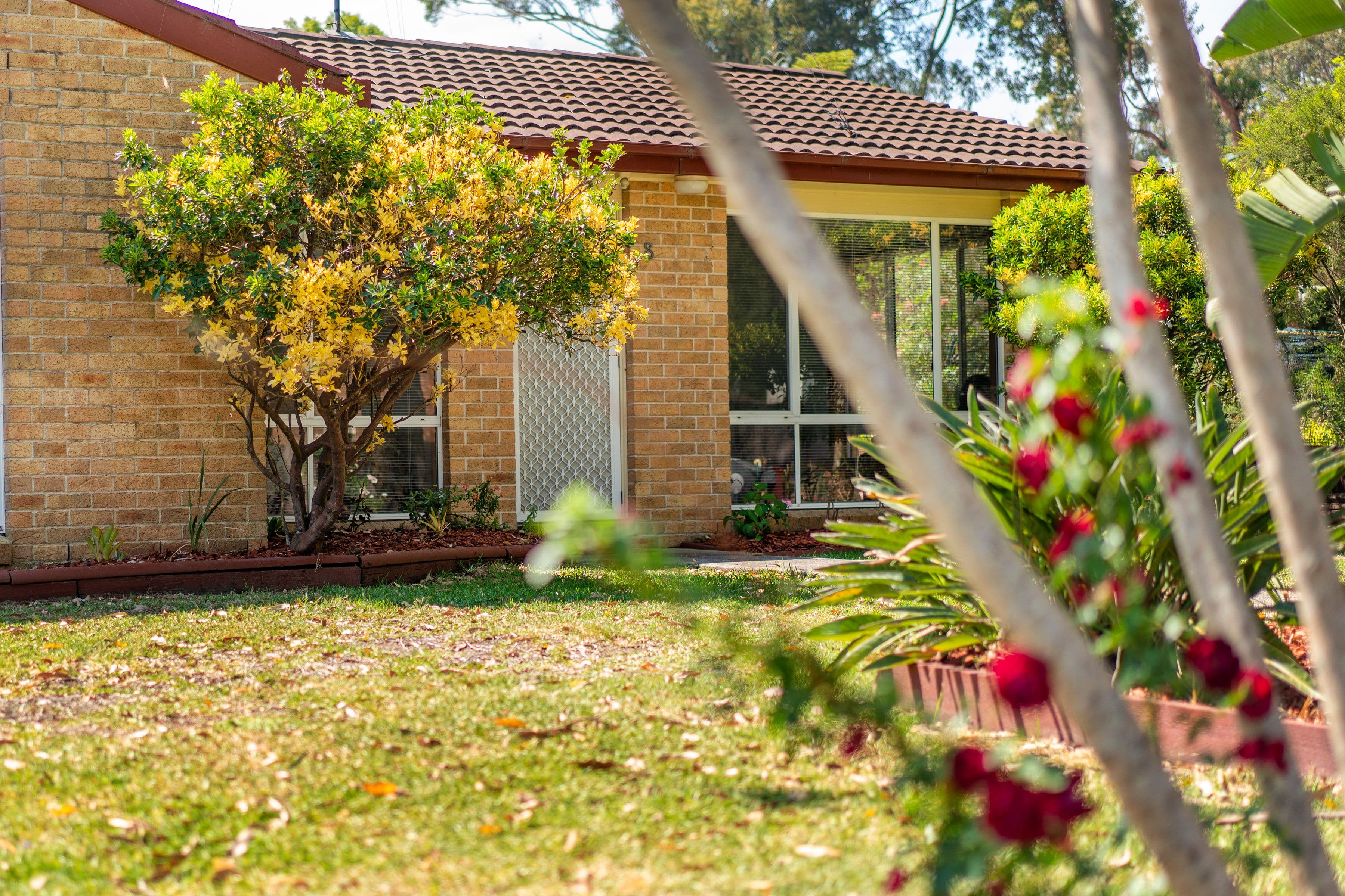 8 Wingfield Street, Windermere Park - Thumbnail 3