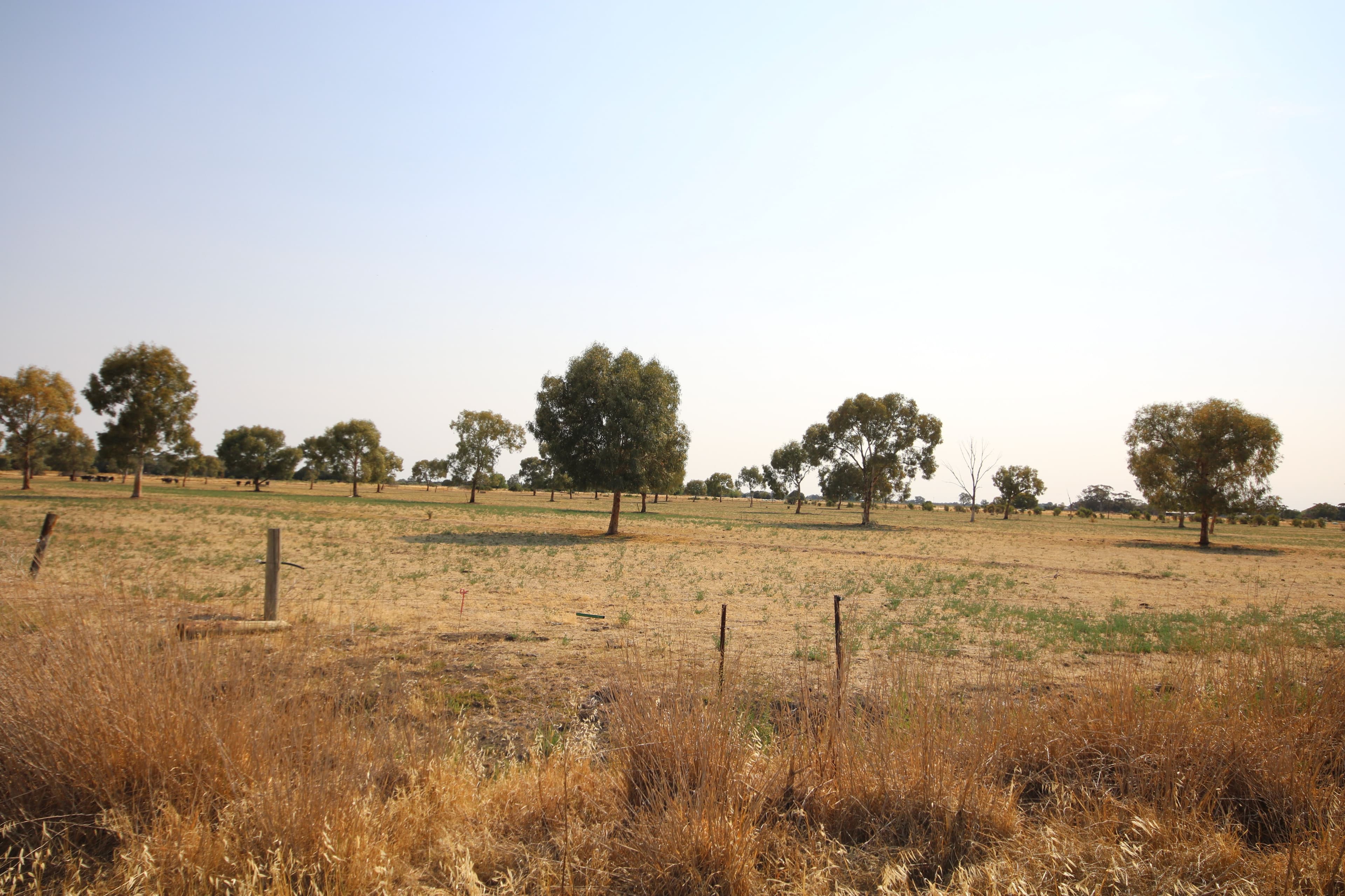293 Hansen Road, Ballendella VIC 3561, Ballendella - Thumbnail 8