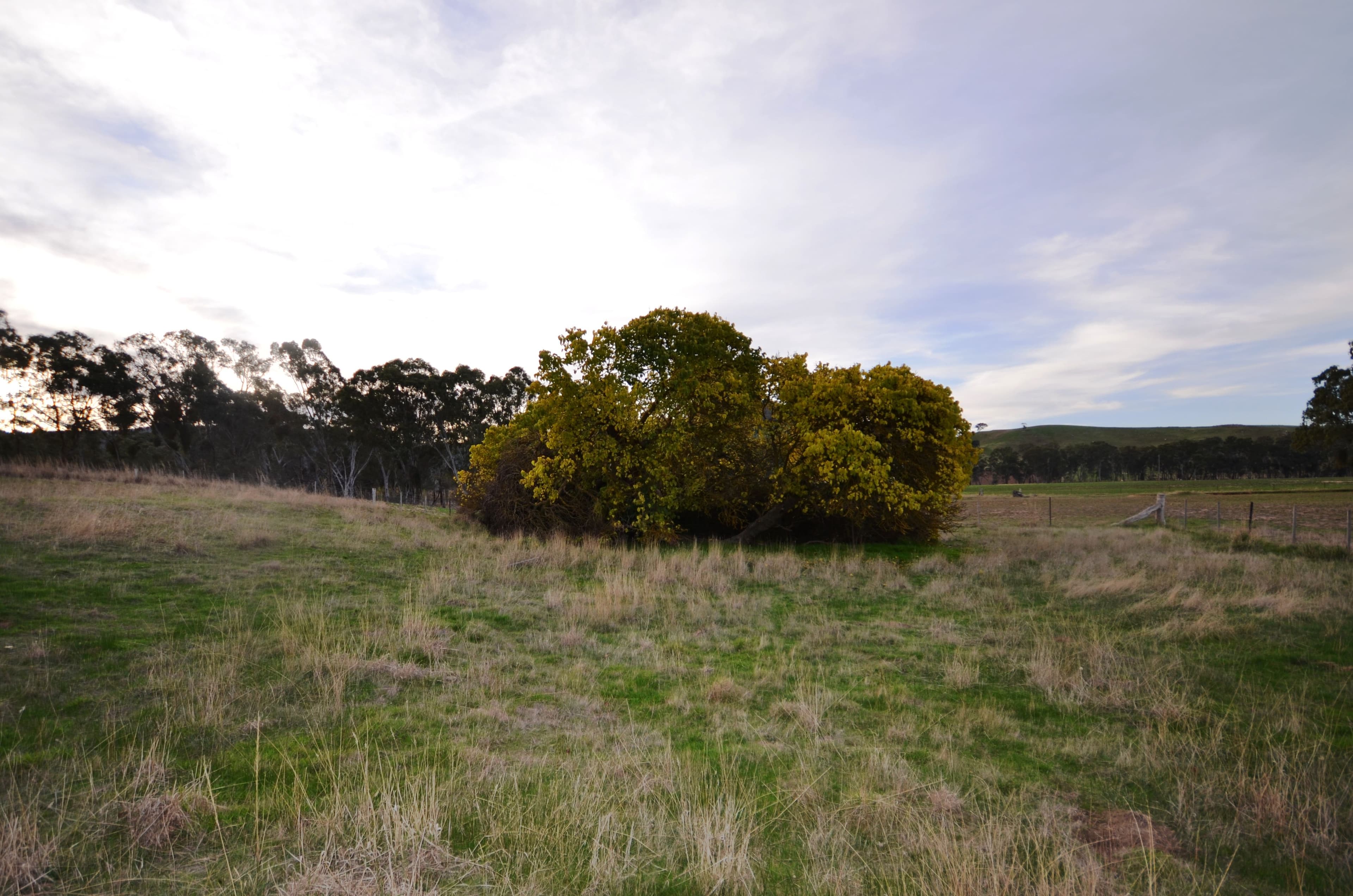 CA 9B Andersons Road, AMPHITHEATRE  Victoria  3468, Australia, Amphitheatre - Thumbnail 6
