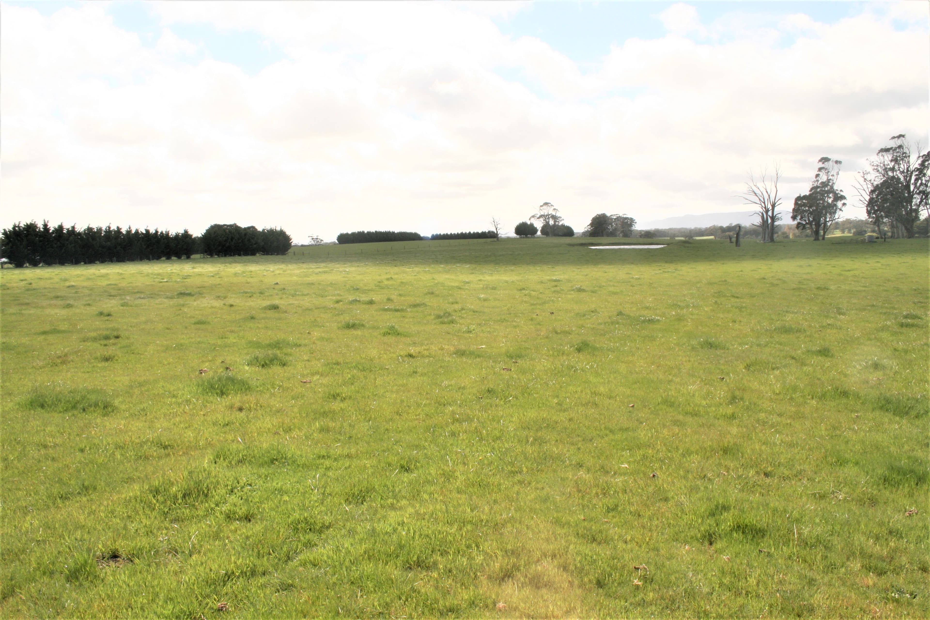 00 Trentham Road, Tylden VIC 3444, Tylden - Thumbnail 4