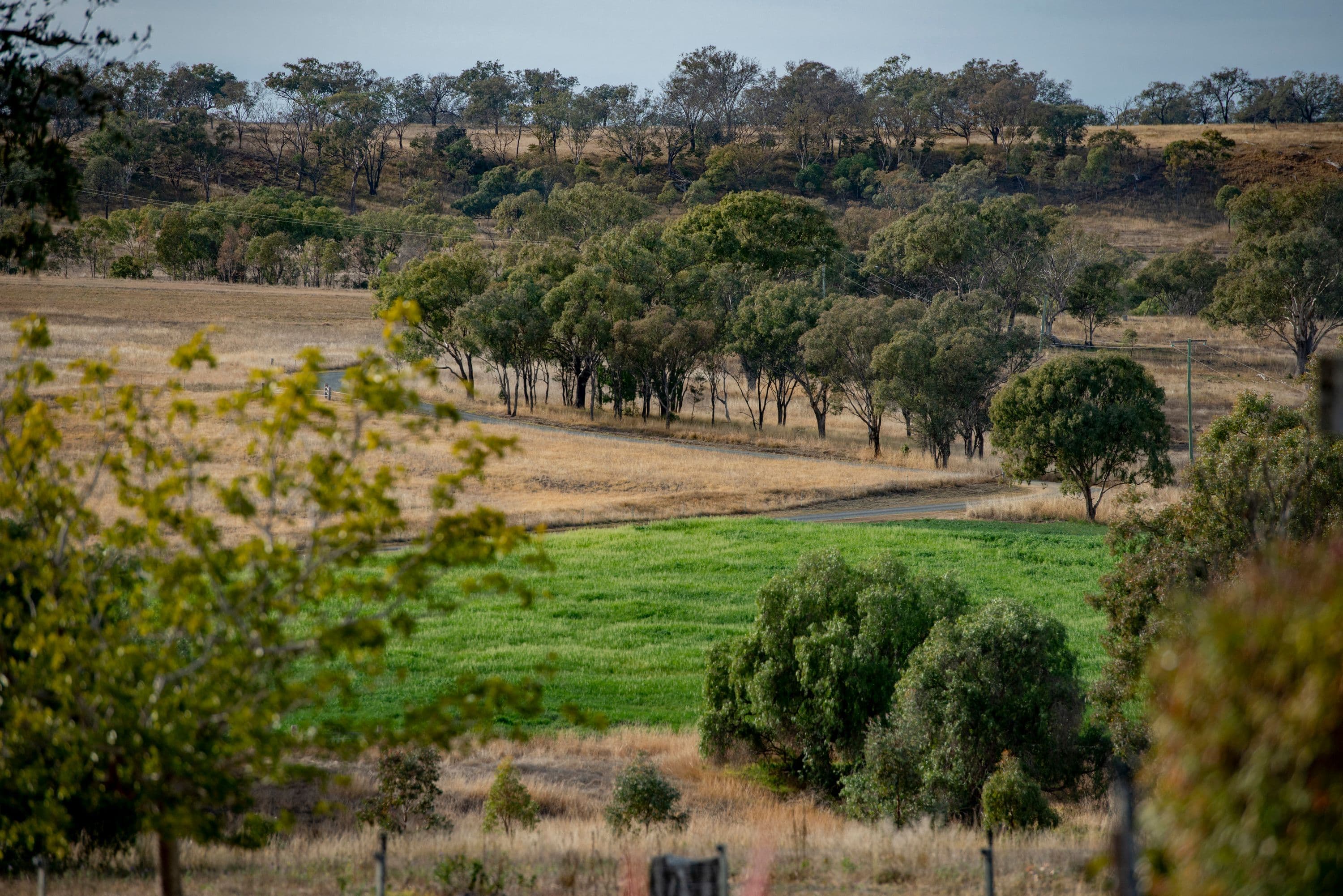 836 Pittsworth Felton Road, Pittsworth QLD 4356, Pittsworth - Thumbnail 5