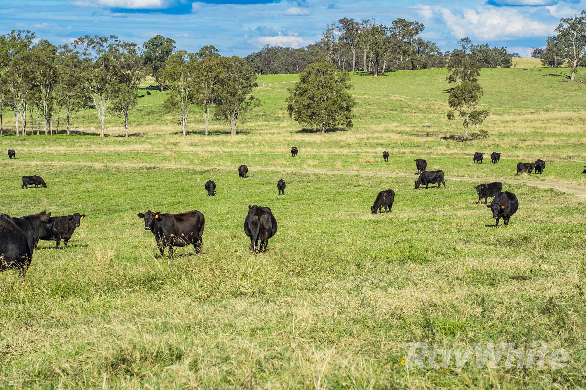 4469 Clarence Town Road, Dungog NSW 2420, Dungog - Thumbnail 2