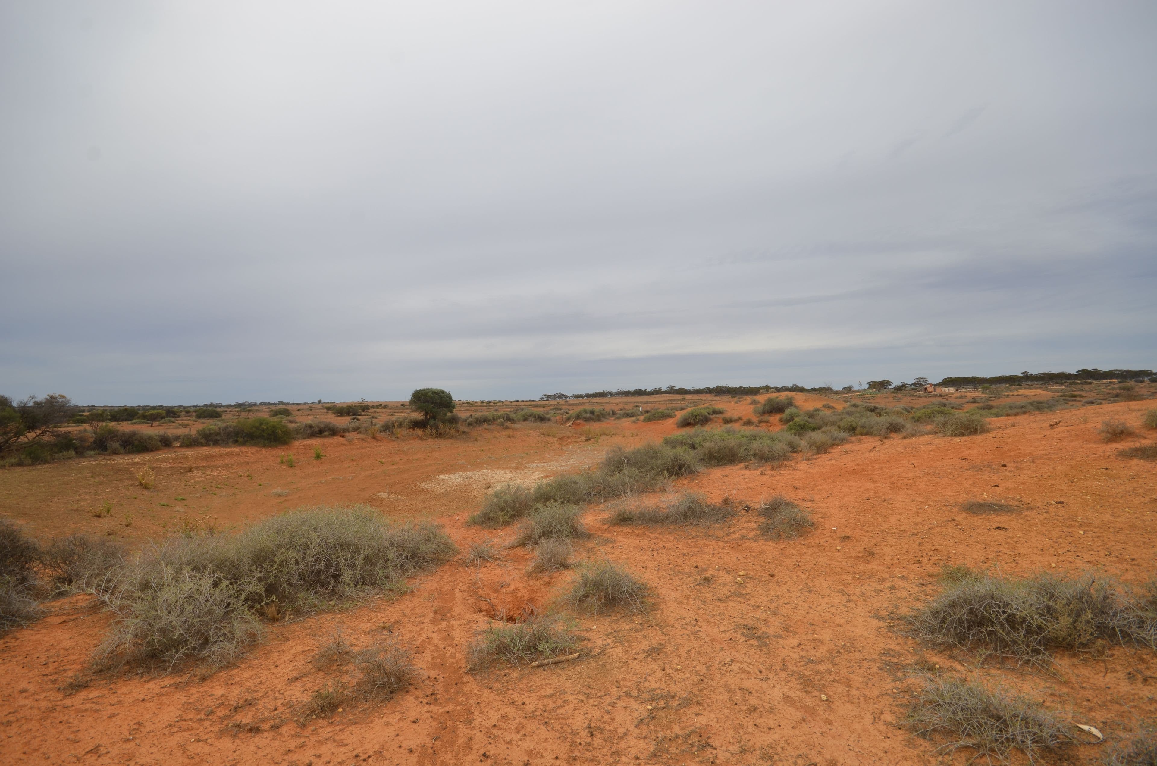 Lot 26 Mary Mont Road, Mount Mary SA 5374, Mount Mary - Thumbnail 6