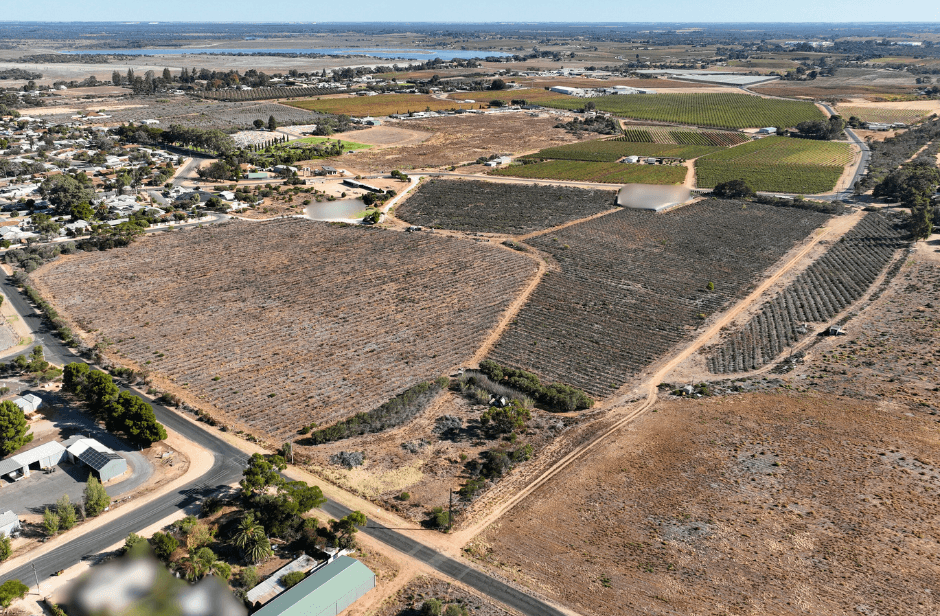 Lot 5 Mortimer Road, Berri SA 5343, Berri - Thumbnail 3