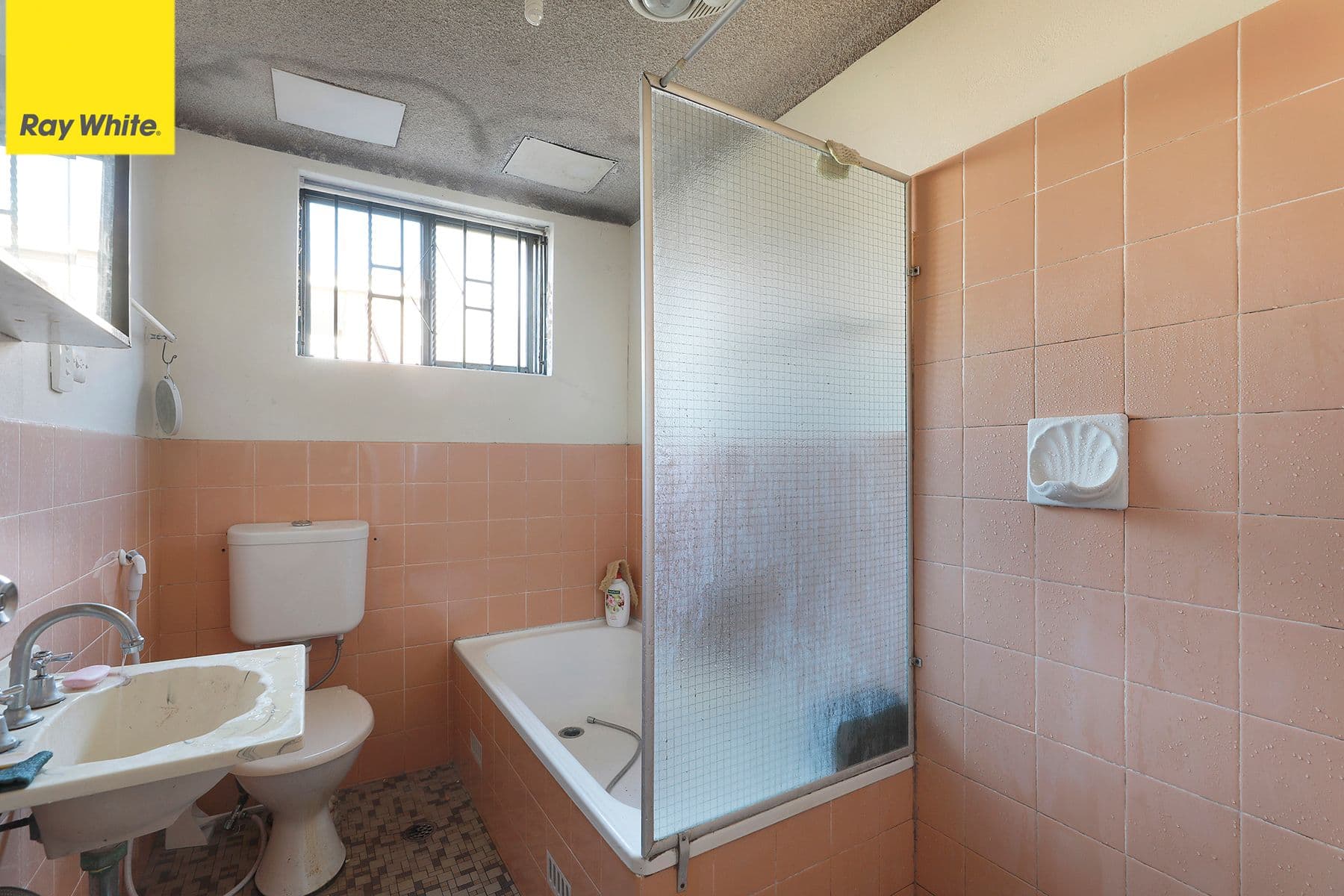 36 Dudley Street, Punchbowl NSW 2196, Punchbowl - Thumbnail 4
