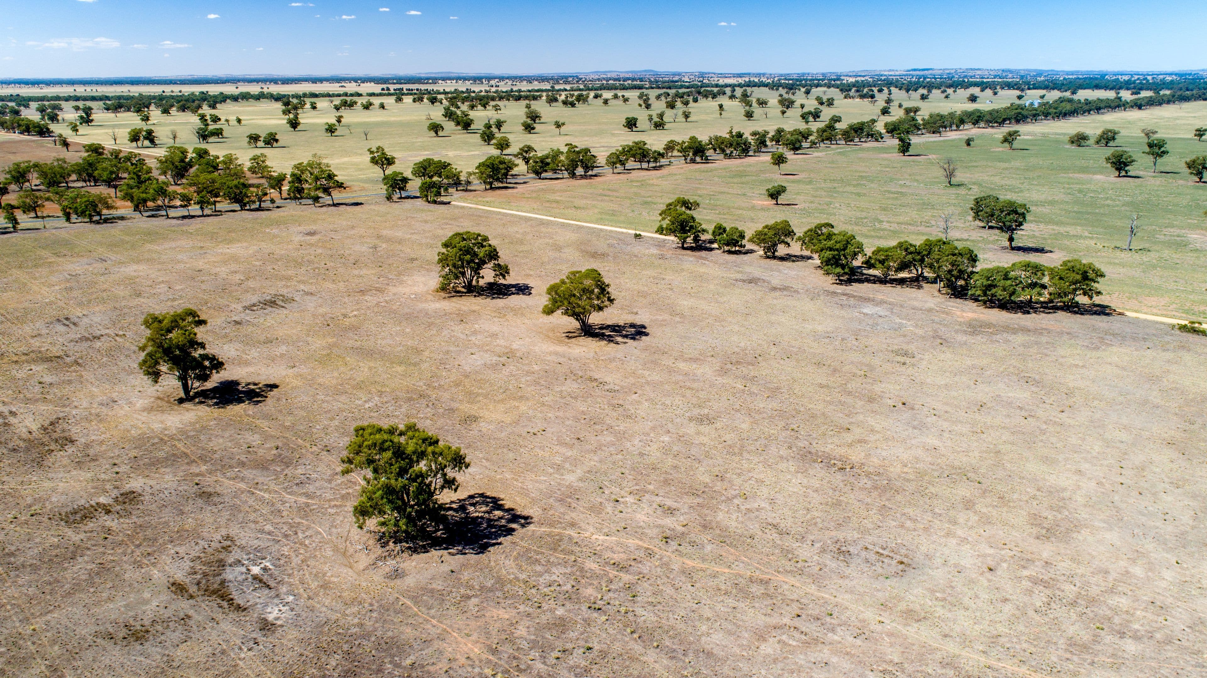 368 Bullenbong Road, THE ROCK NSW 2655, The Rock - Thumbnail 6