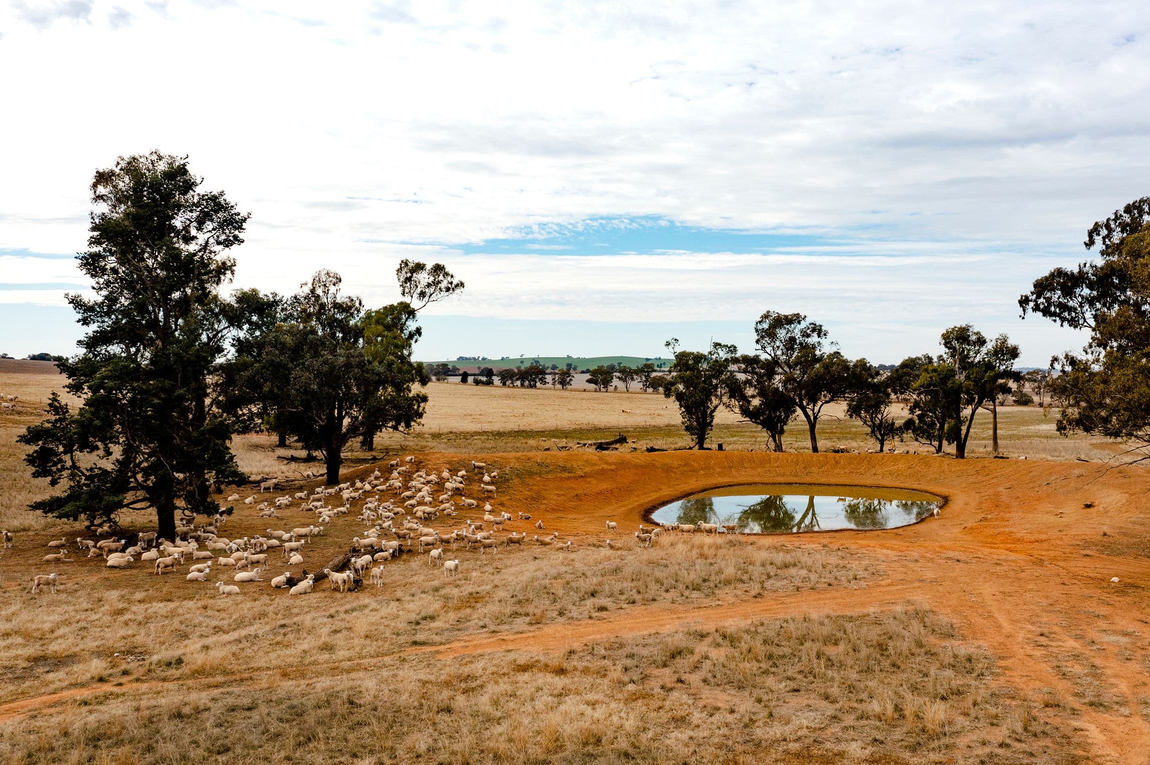 O'briens Coolamon Road, Coolamon NSW 2701, Coolamon - Thumbnail 7