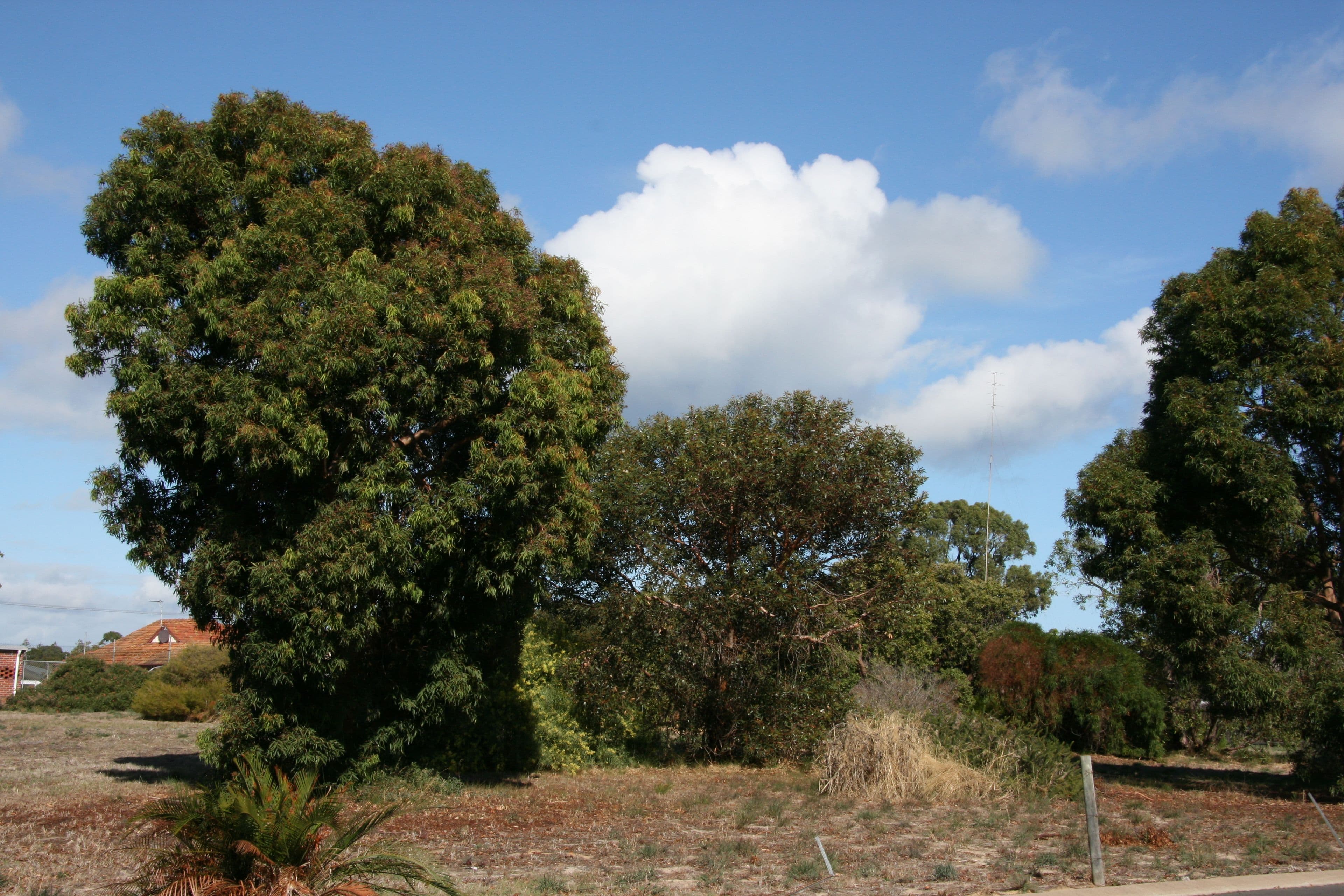30 Goldsmith Street, South Bunbury WA 6230, South Bunbury - Thumbnail 4