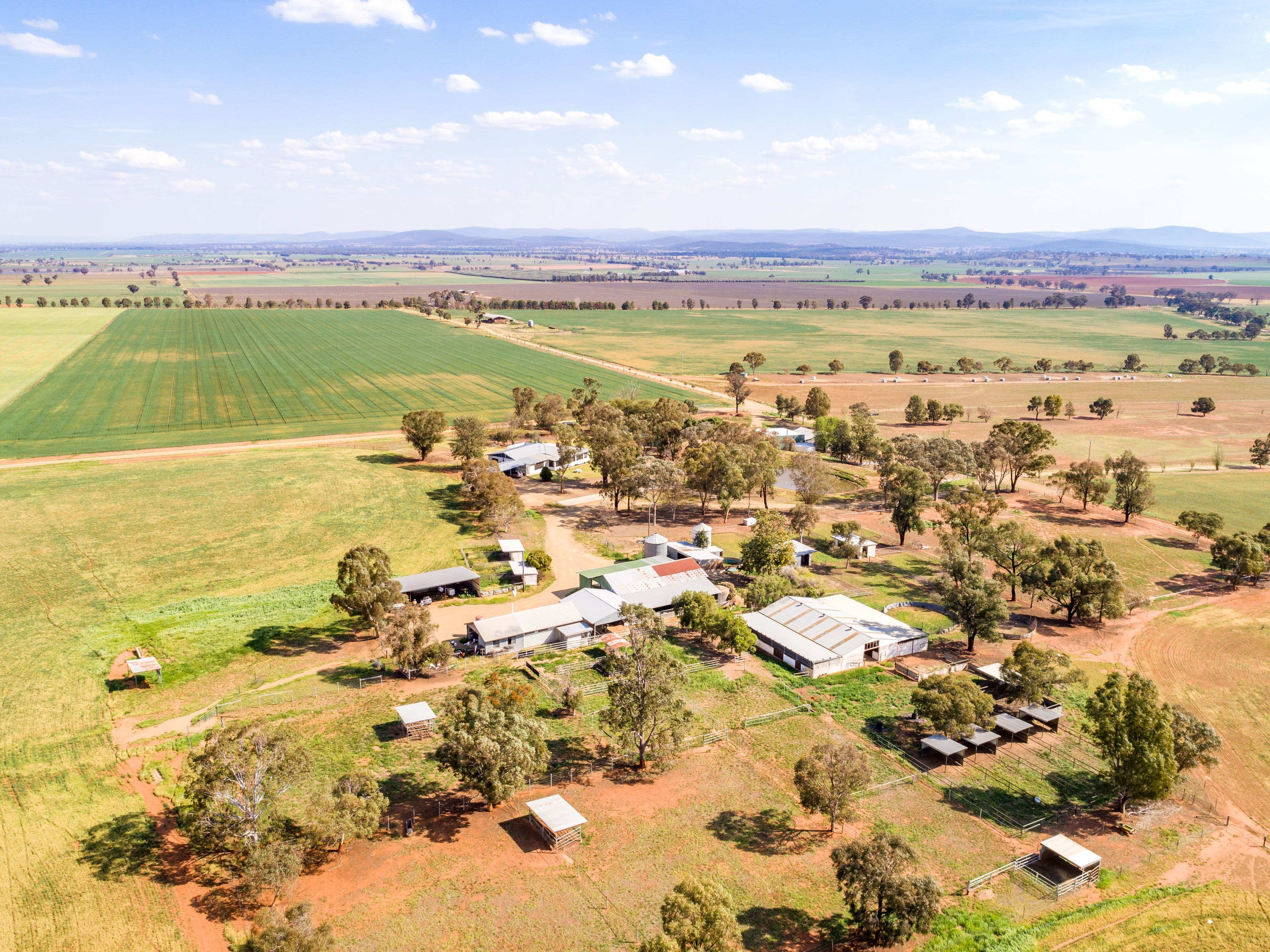 191 Troopers Road, Canowindra NSW 2804, Canowindra - Image 1