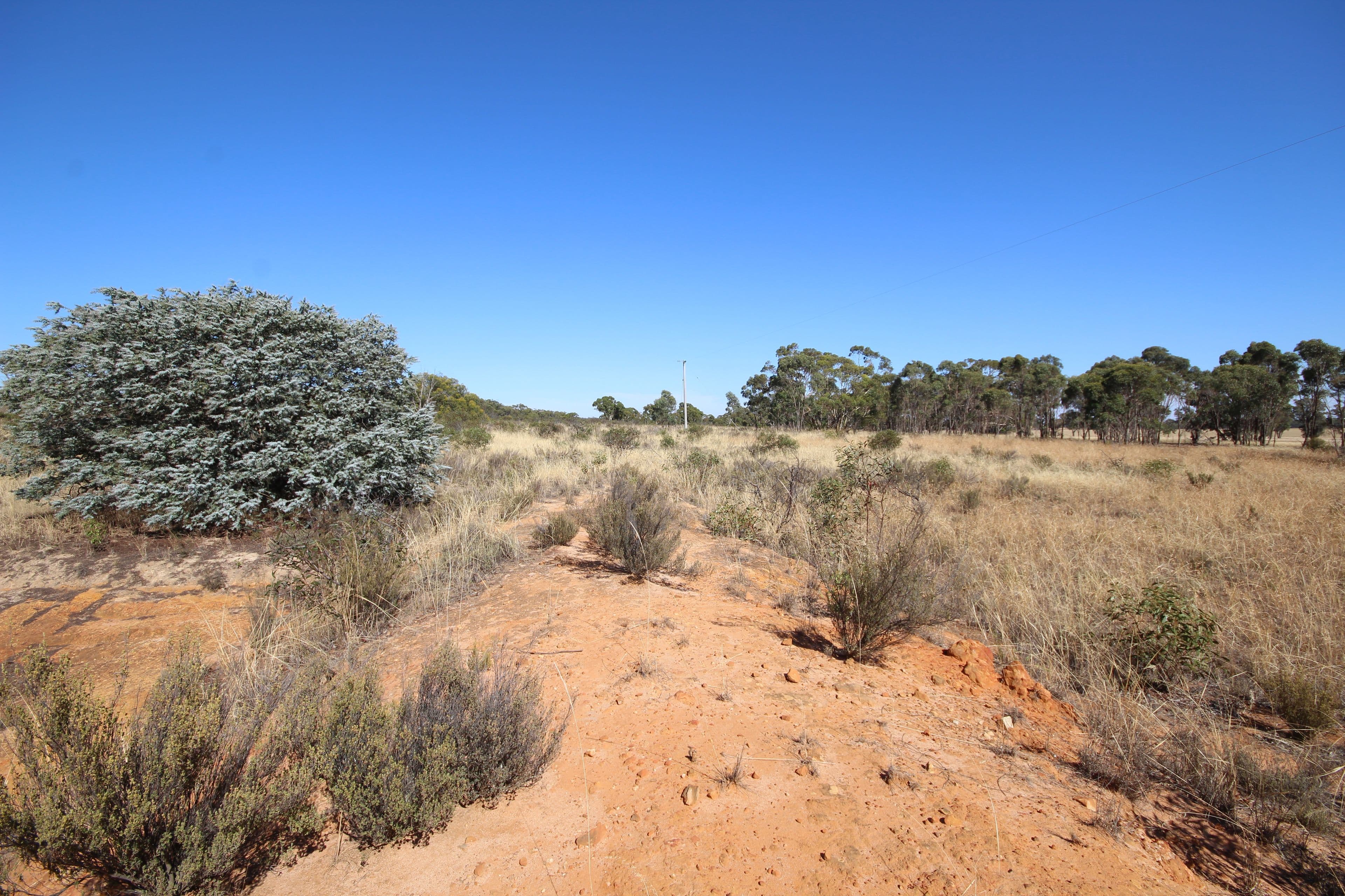 Lot 2 Mitre Road, Nurcoung VIC 3401, Nurcoung - Thumbnail 6