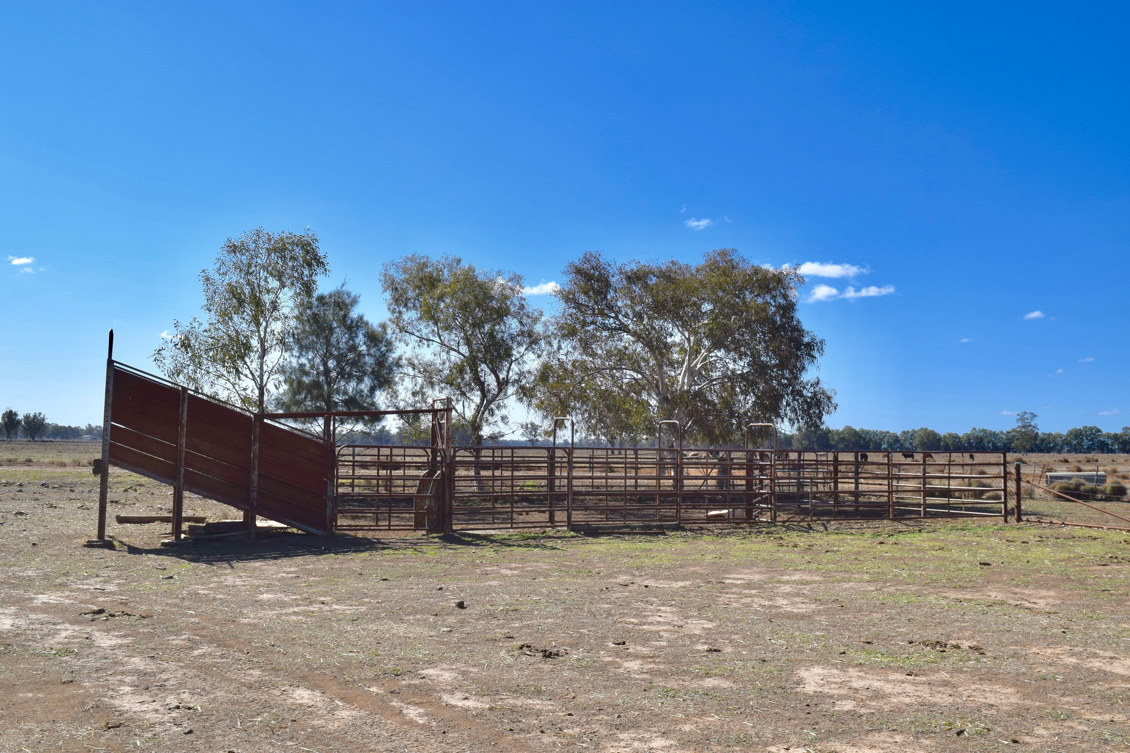 43 Wilmar Lane - Old Grudgery, Forbes NSW 2871, Forbes - Thumbnail 7