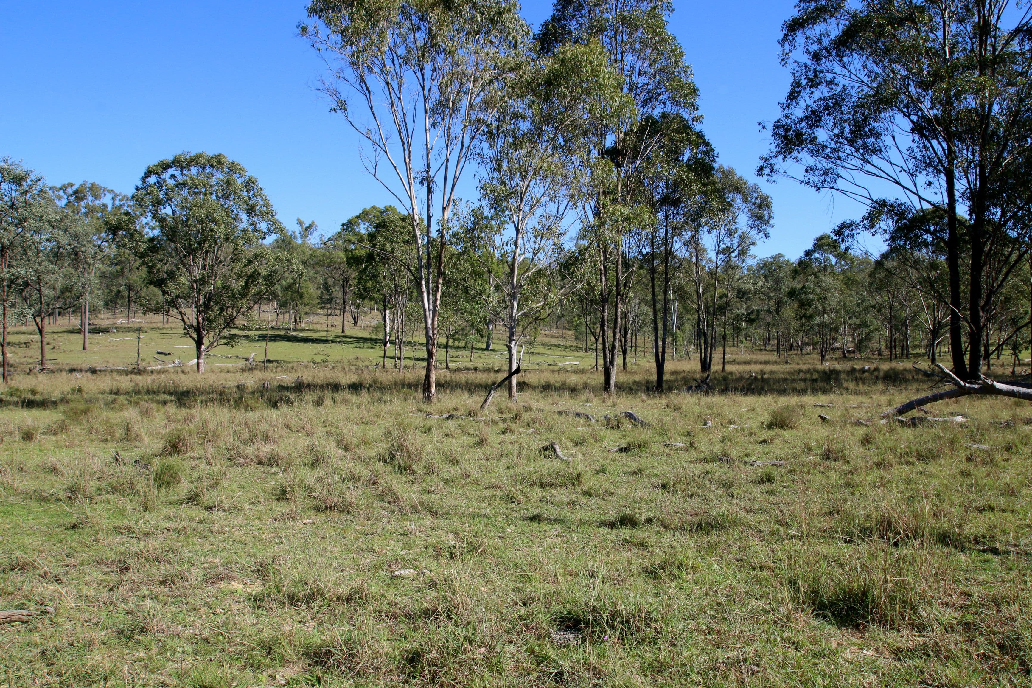 Monto QLD 4630, Monto - Thumbnail 4