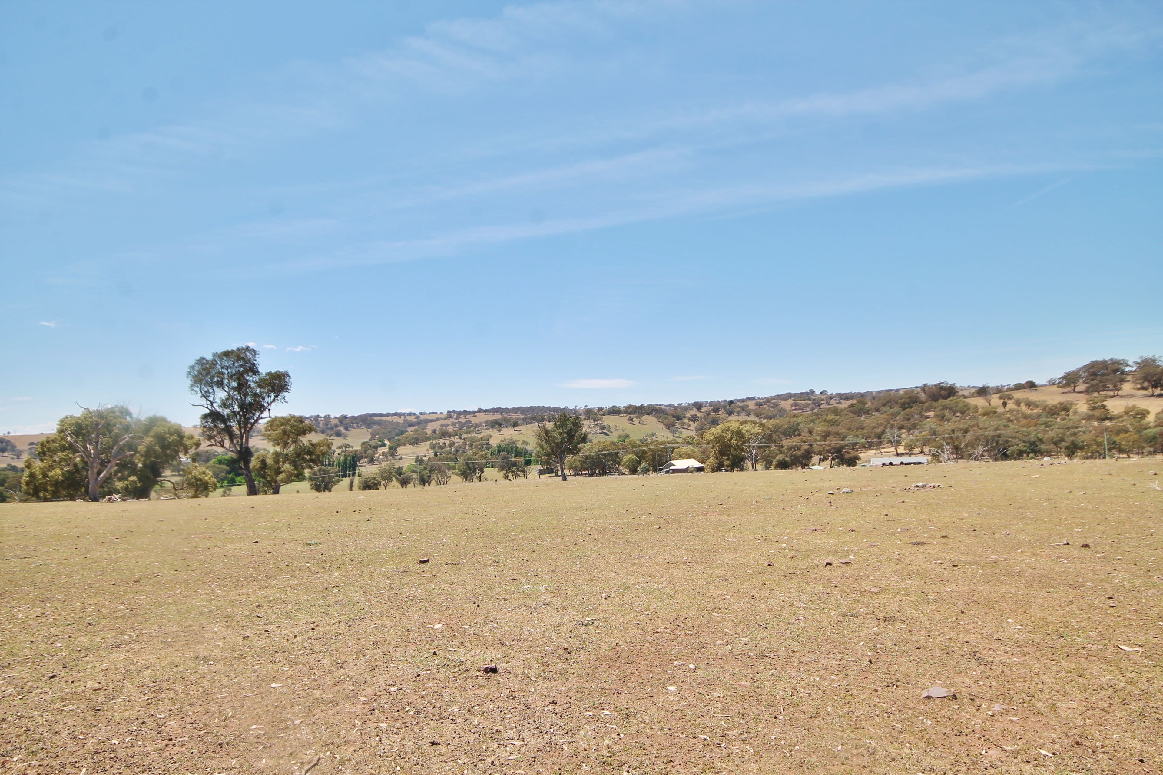 79 Dowling Drive Murringo via, Young NSW 2594, Young - Thumbnail 6